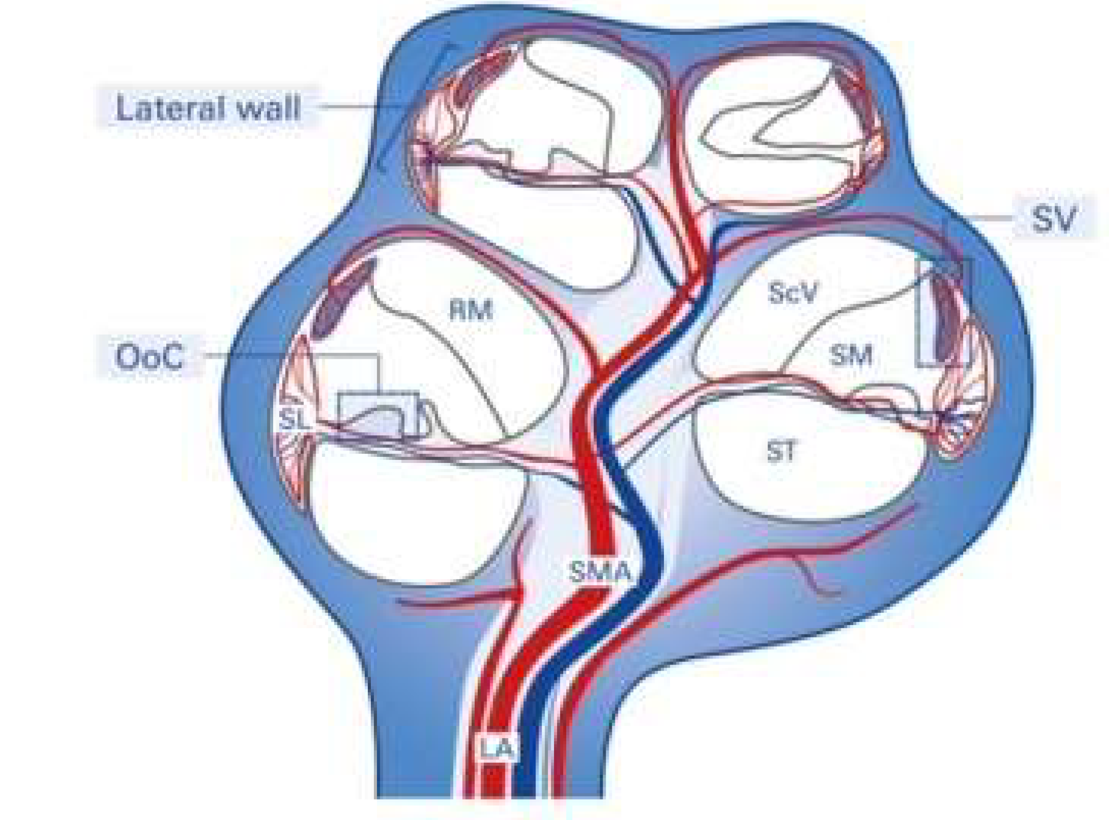 Preprints 120604 g001