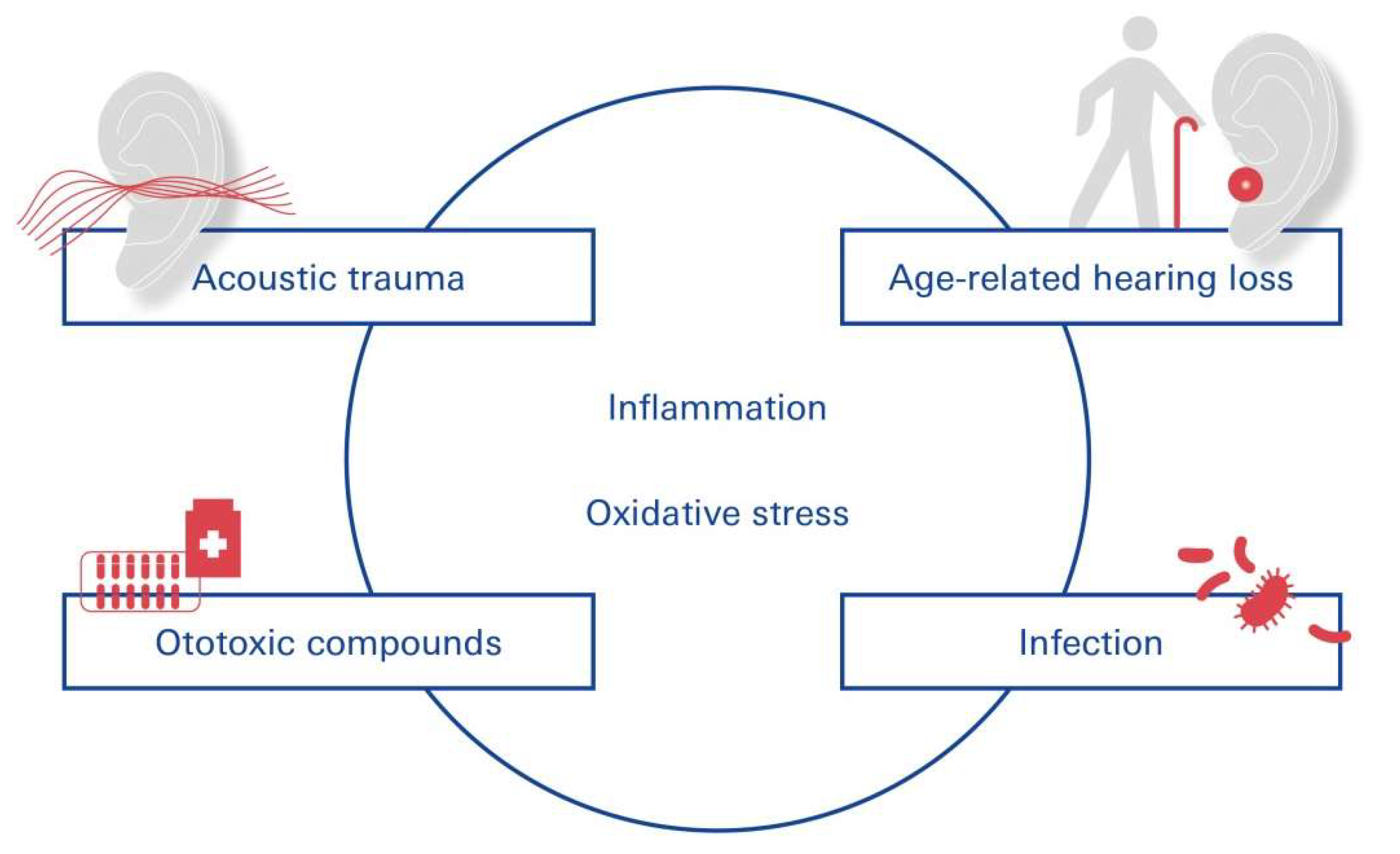 Preprints 120604 g003