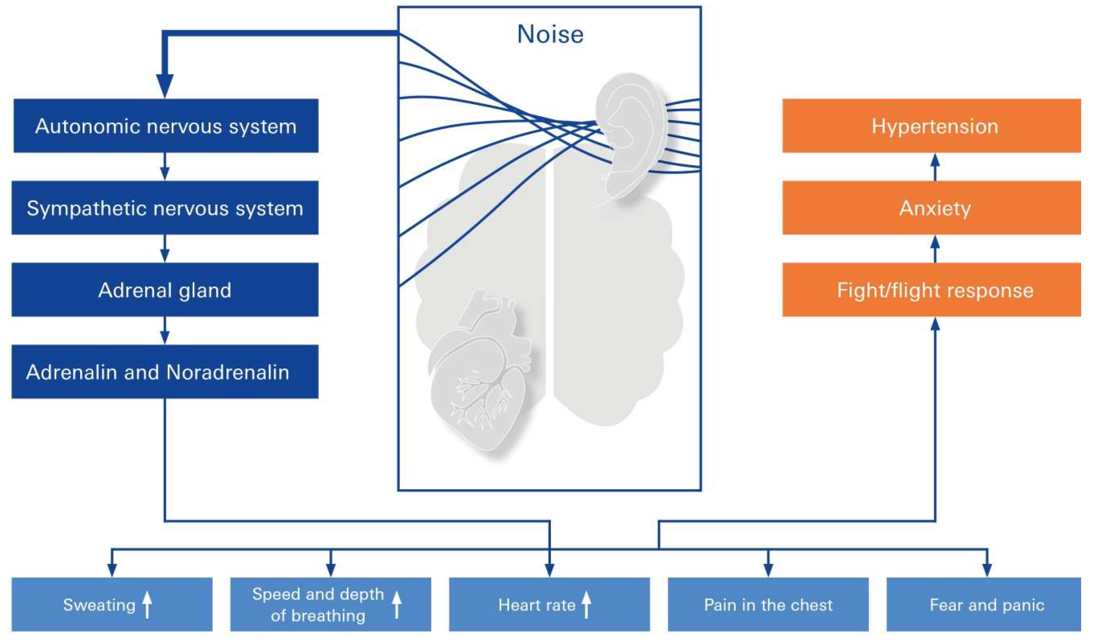 Preprints 120604 g005