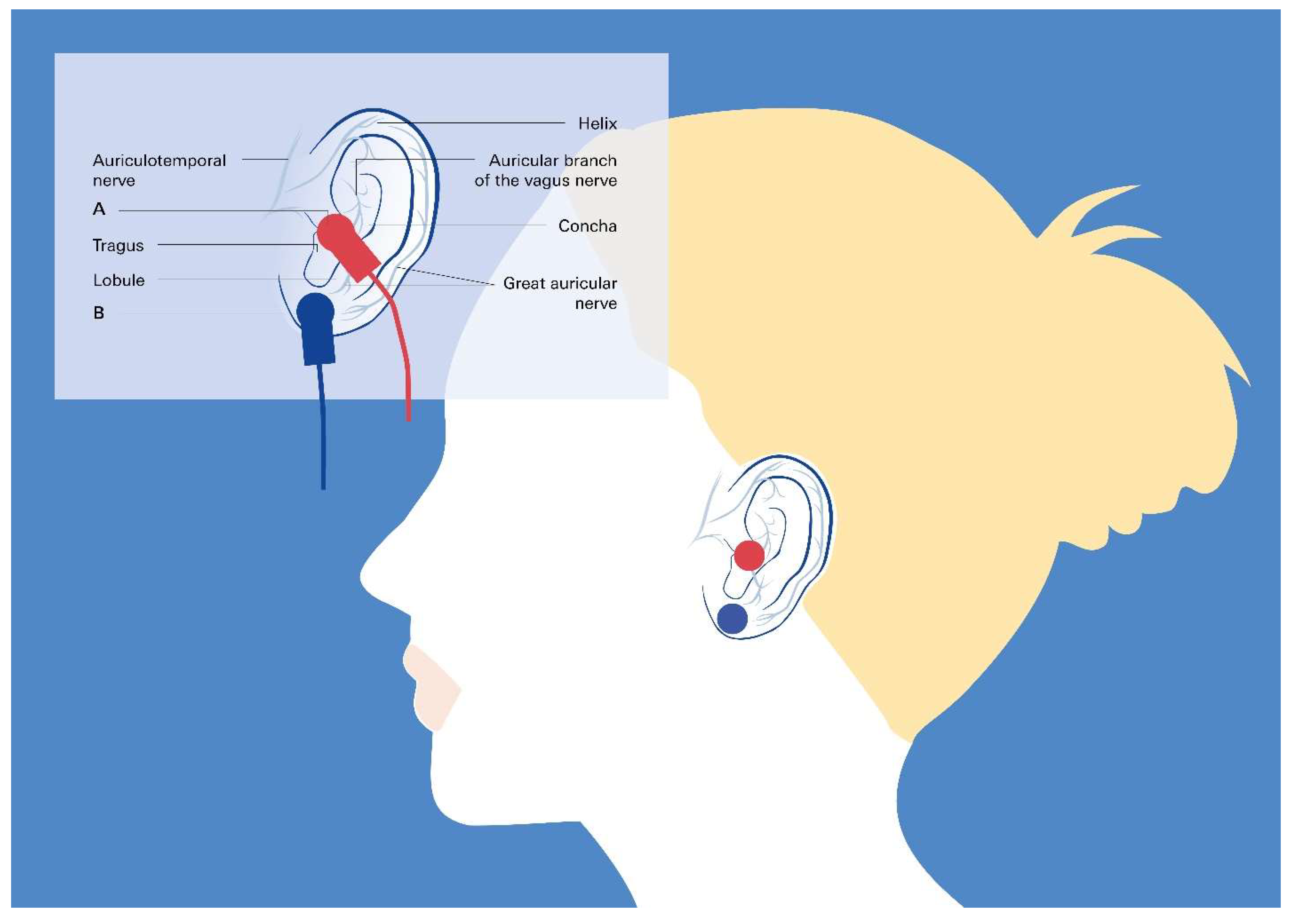 Preprints 120604 g006