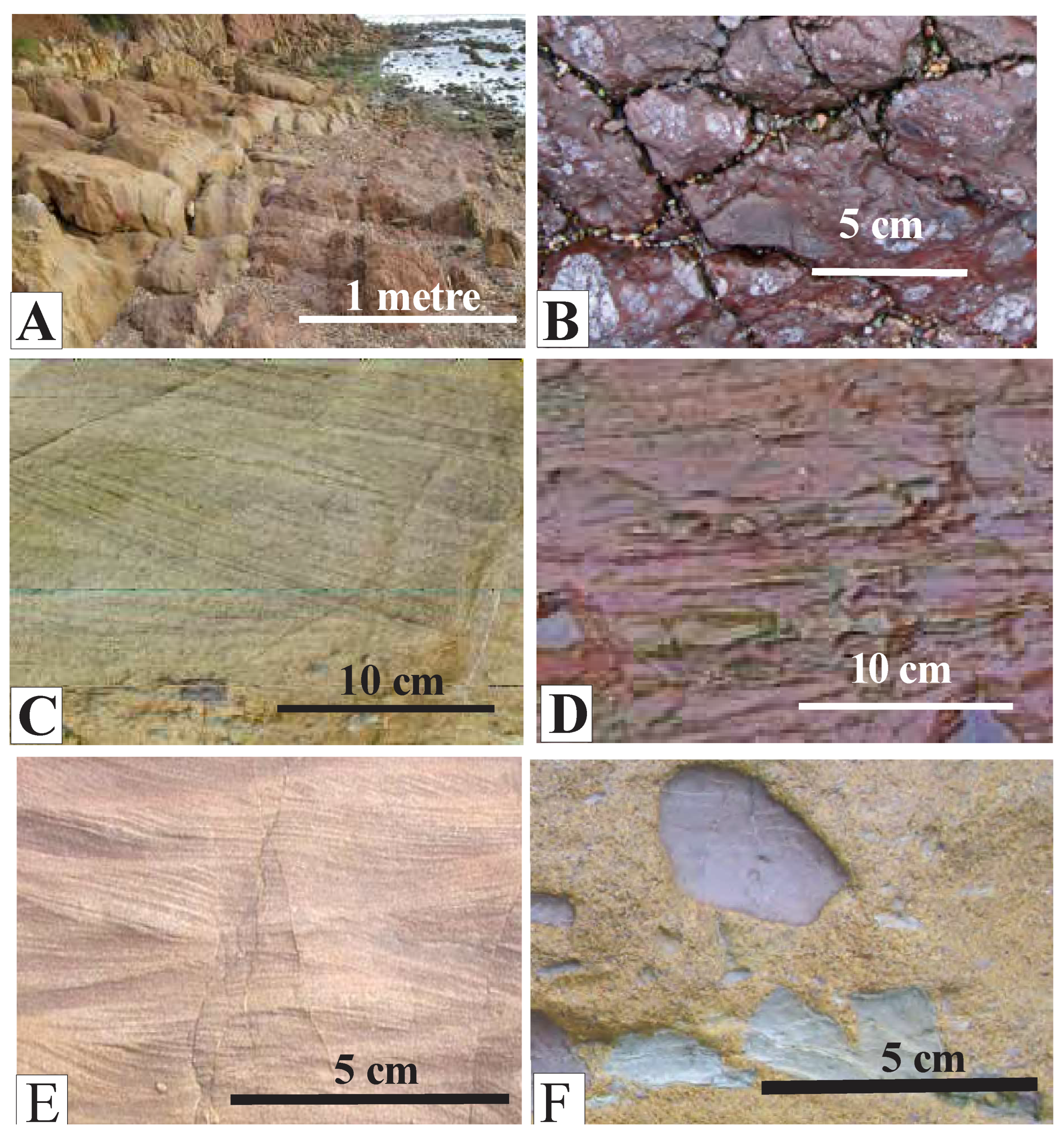 Preprints 149825 g004