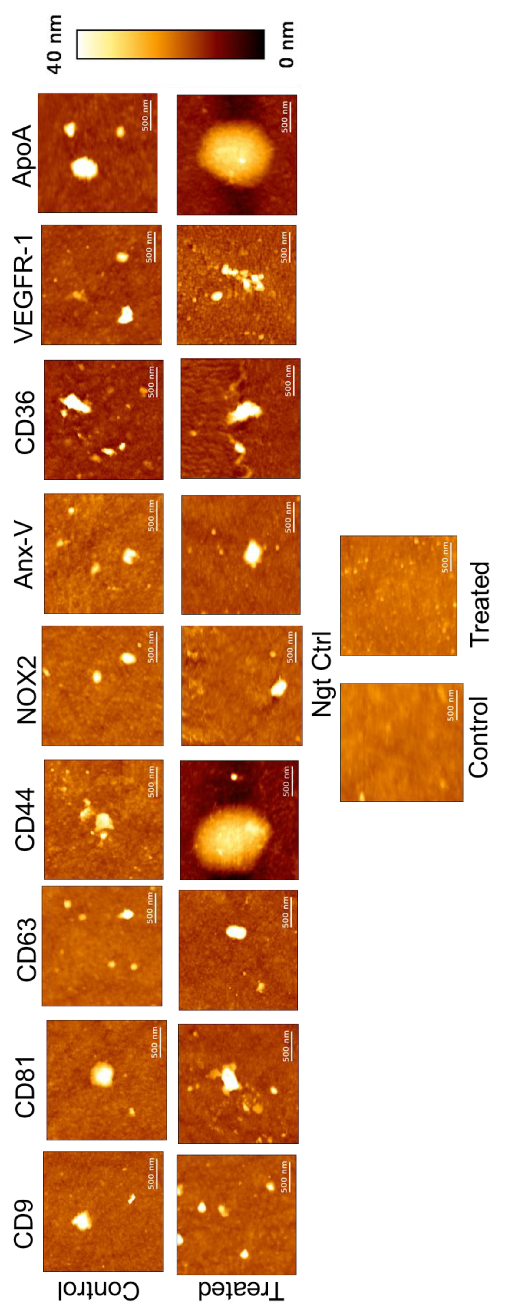 Preprints 145481 g004