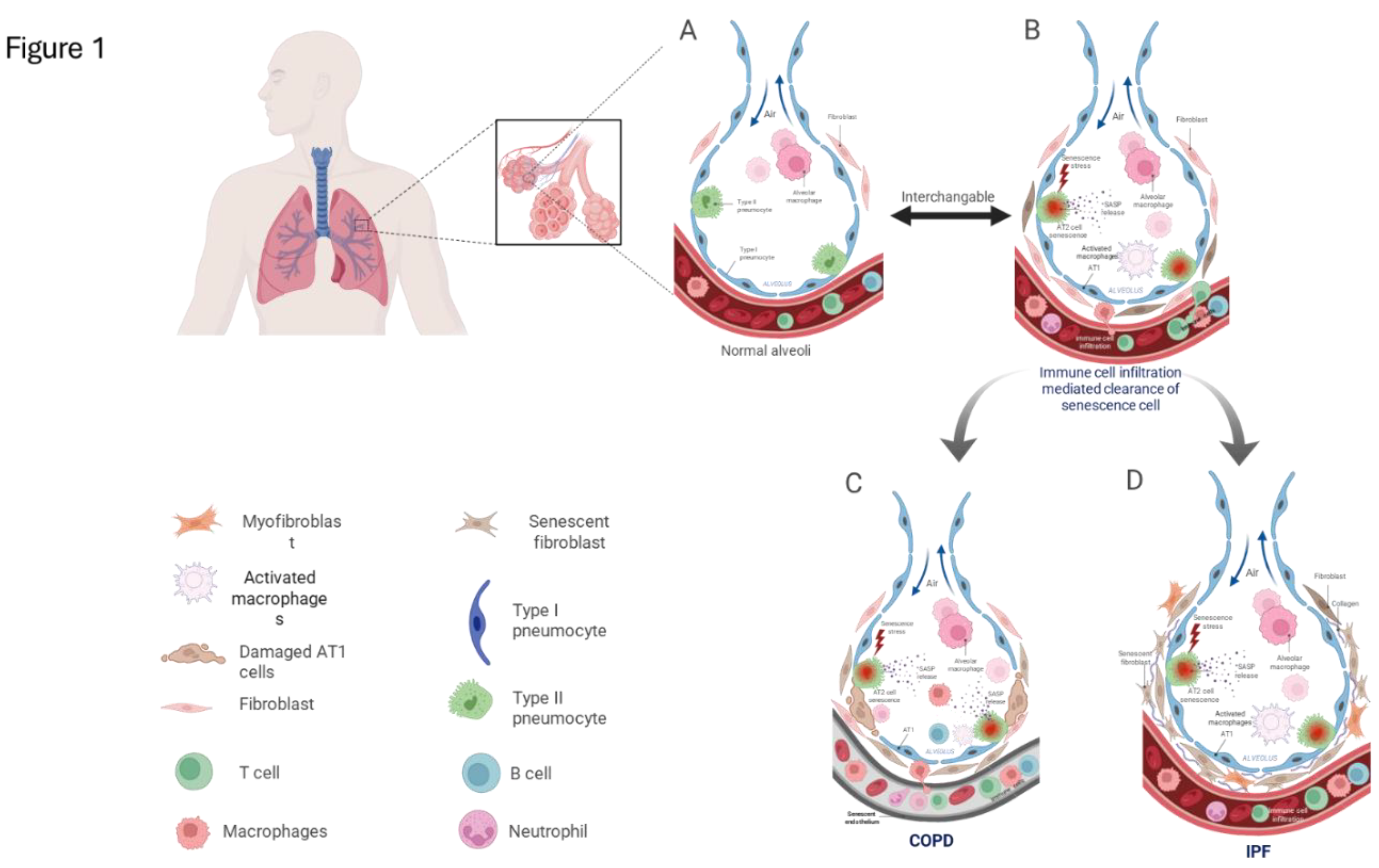 Preprints 172687 g001