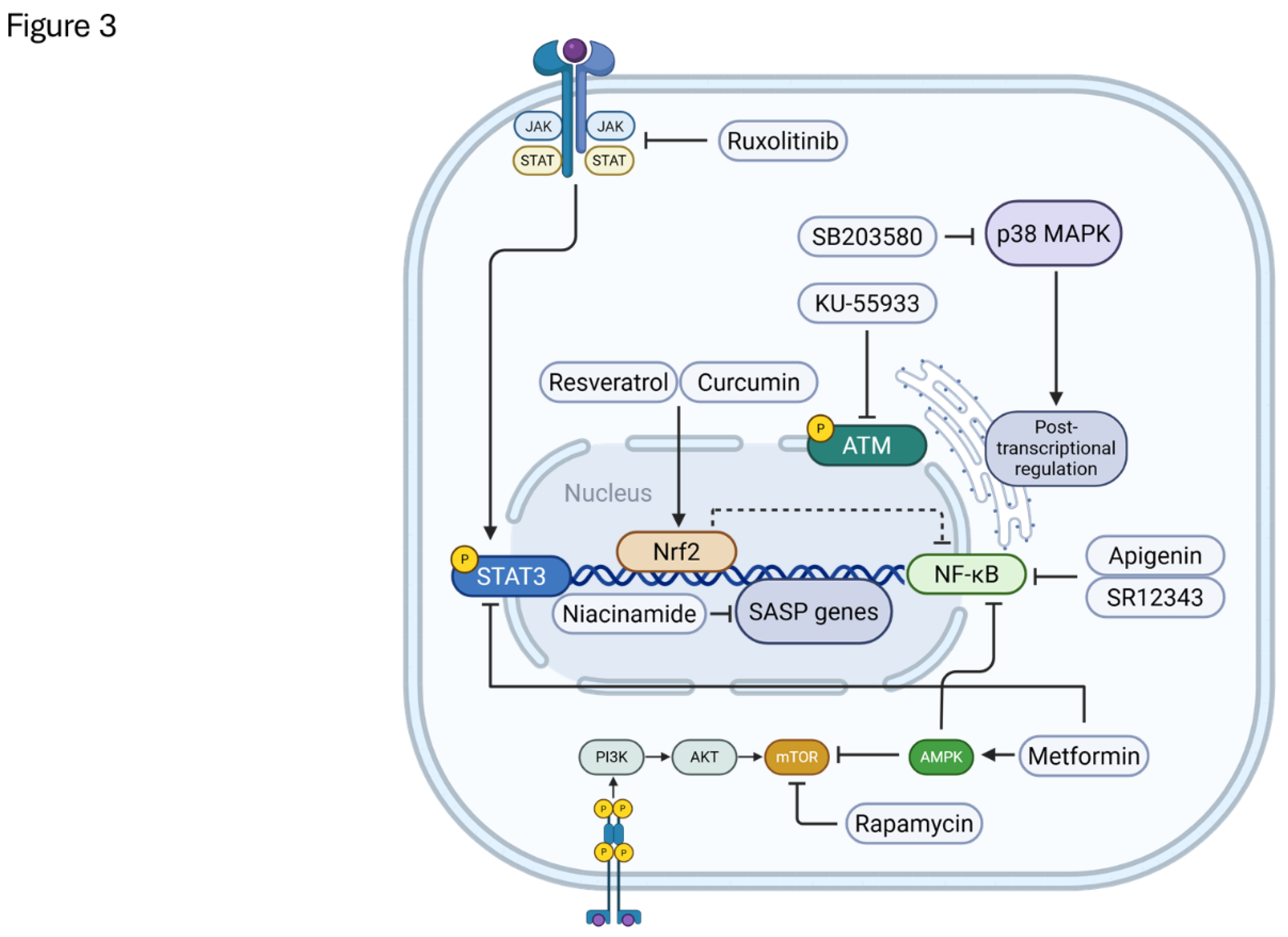 Preprints 172687 g003