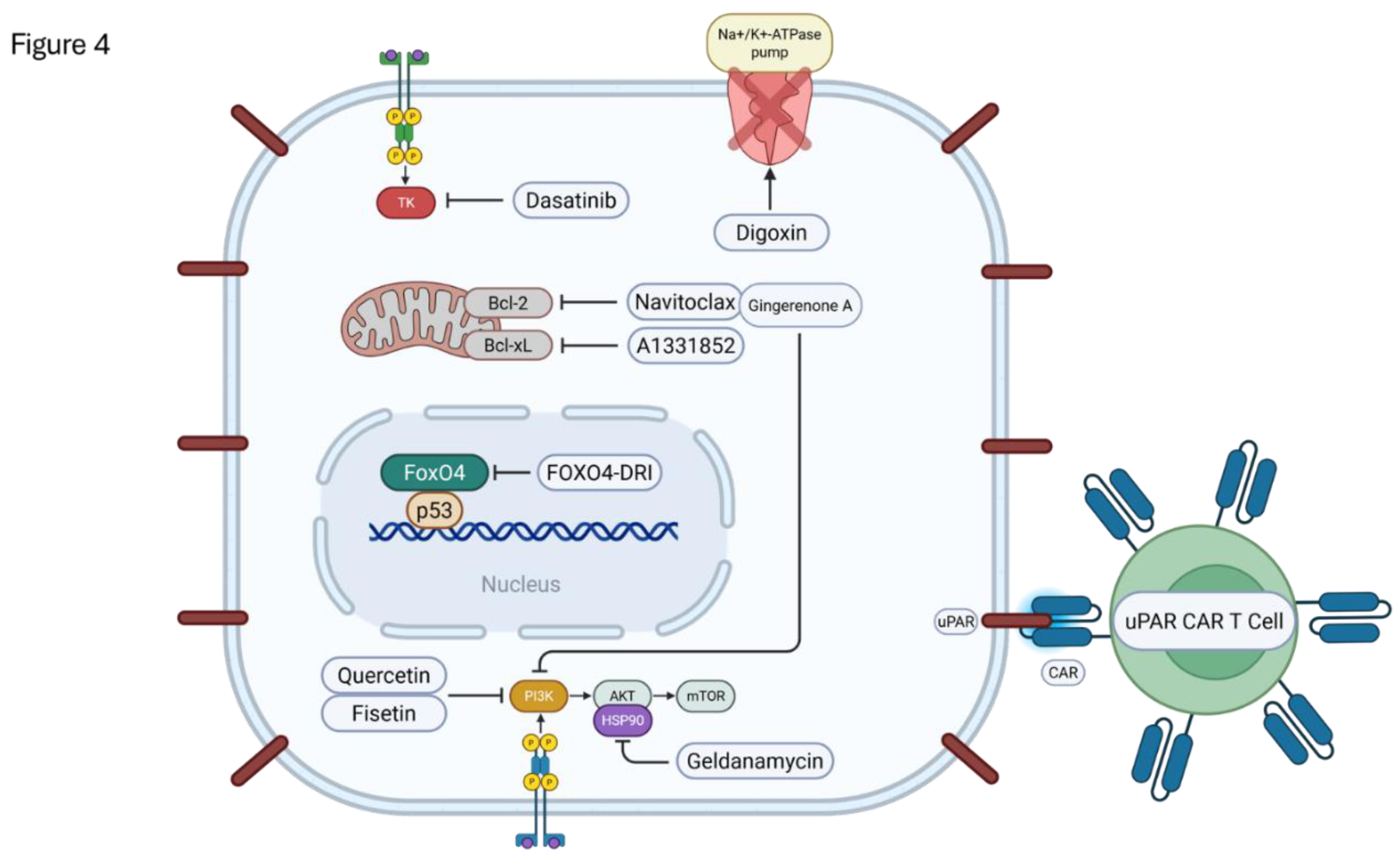 Preprints 172687 g004