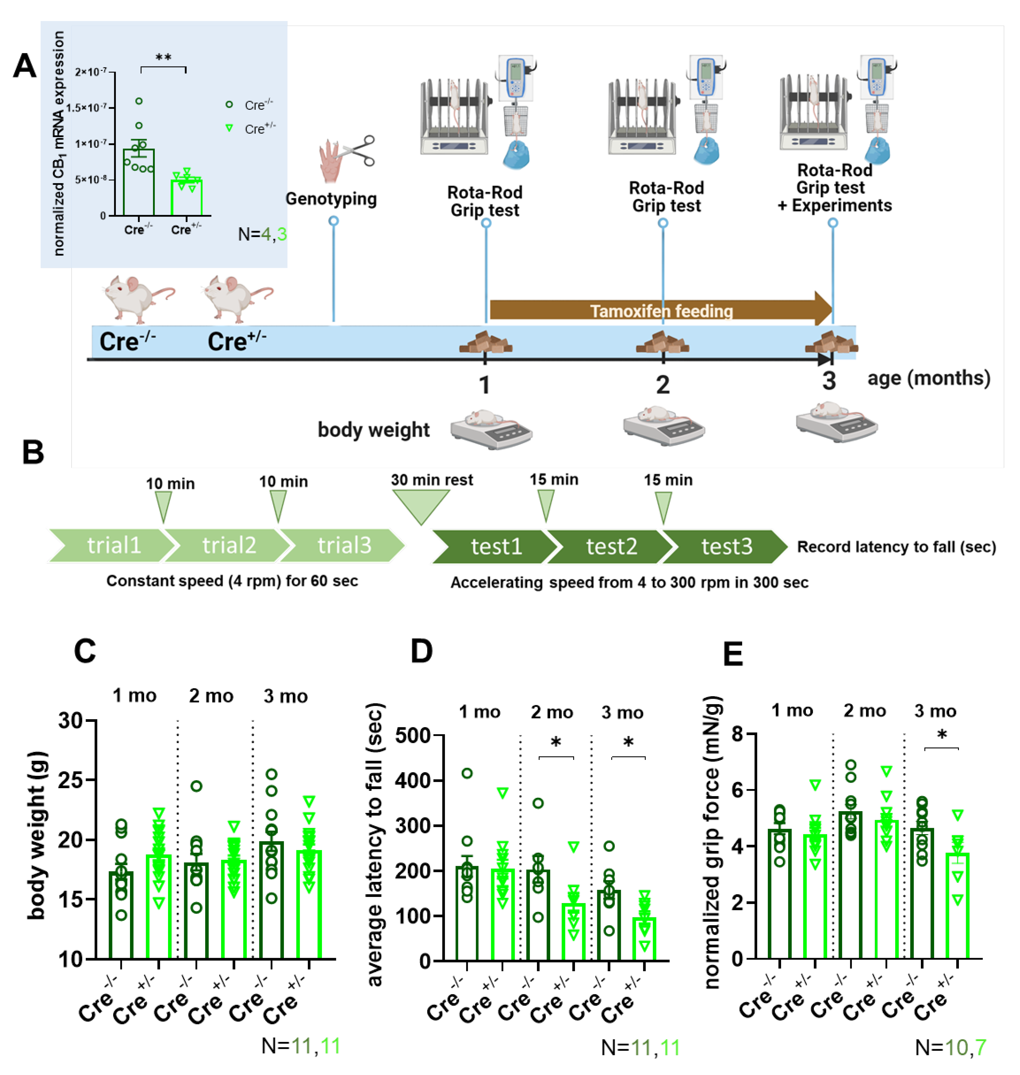 Preprints 154818 g001