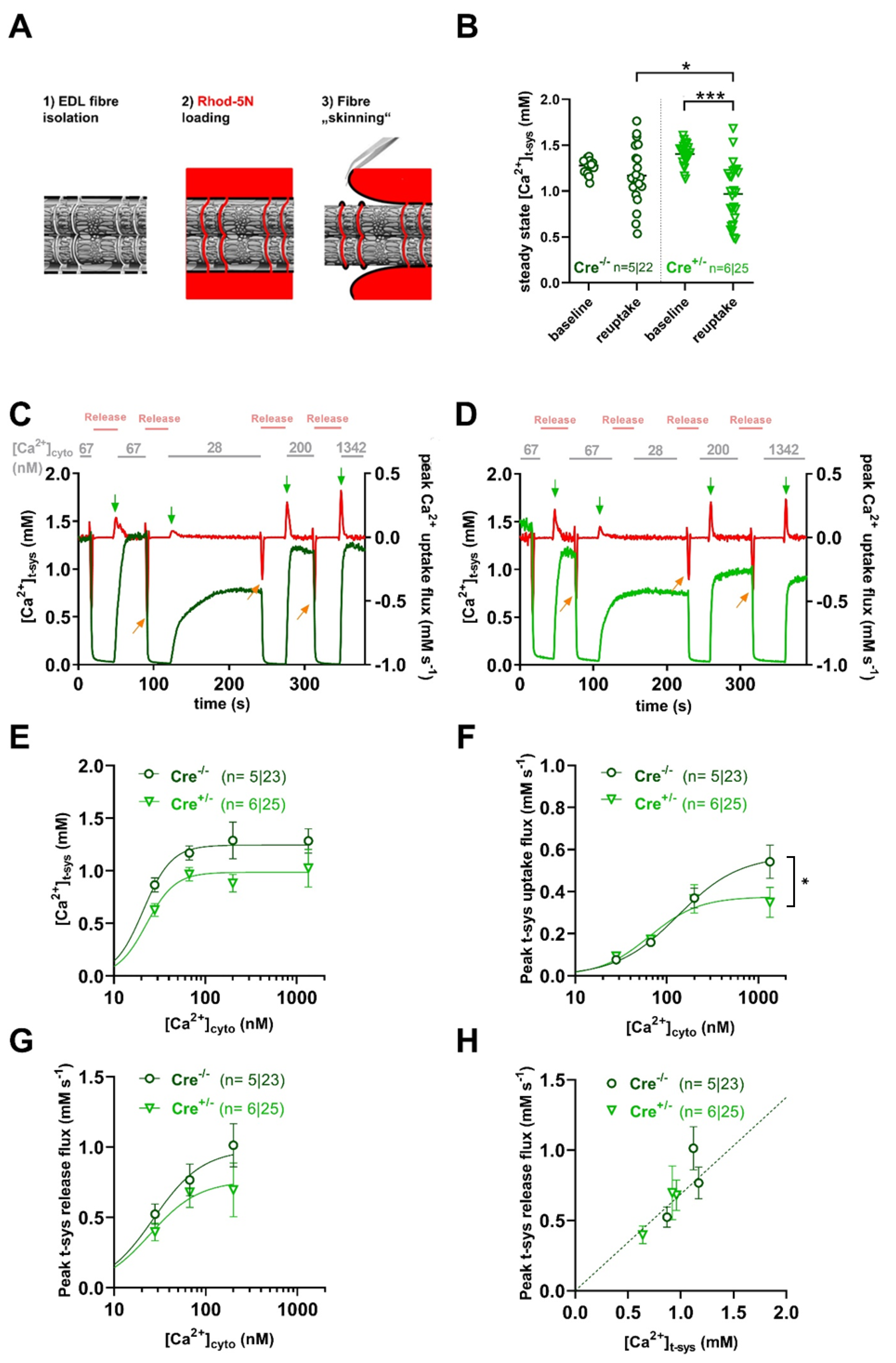 Preprints 154818 g002