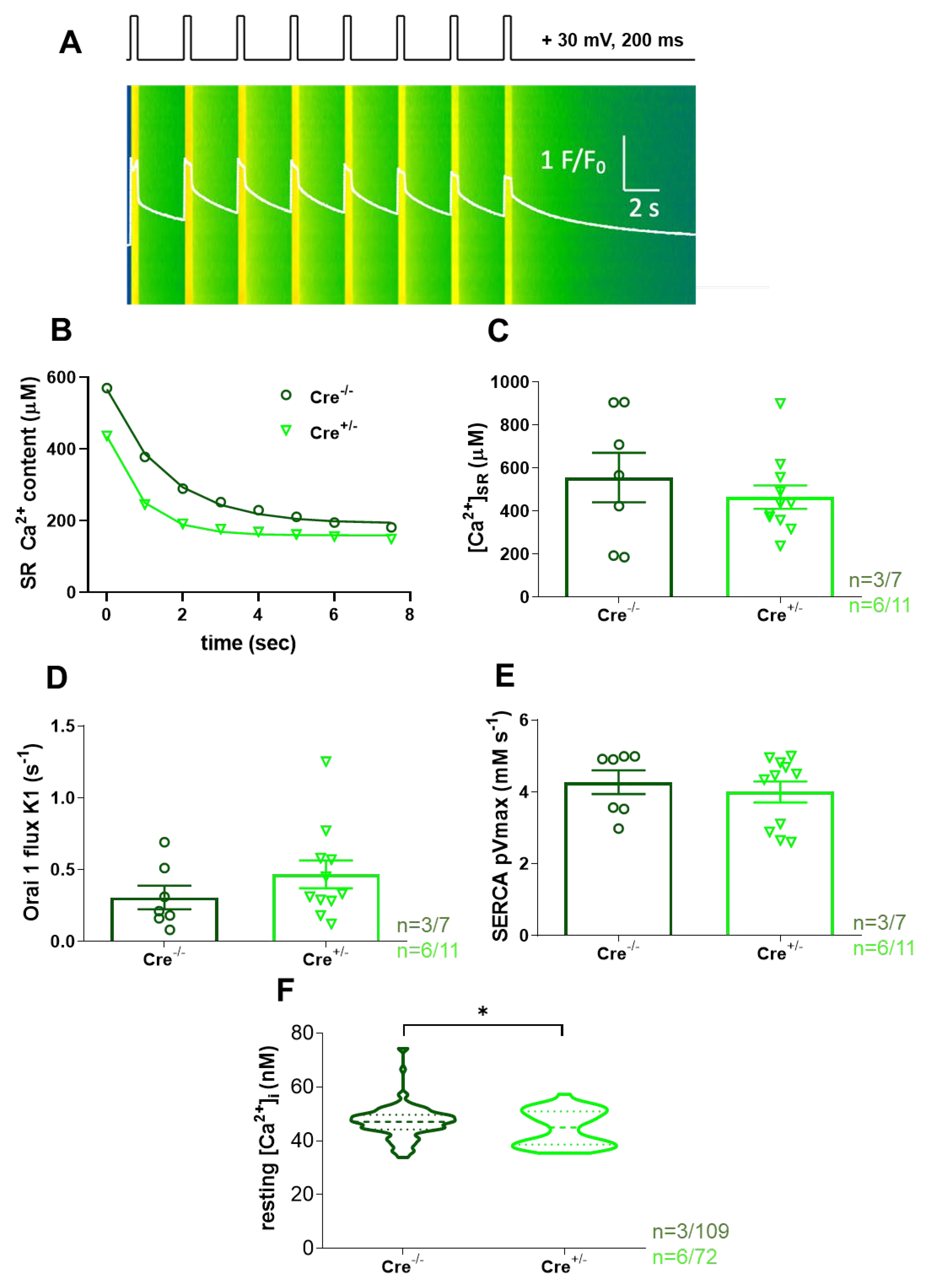 Preprints 154818 g003