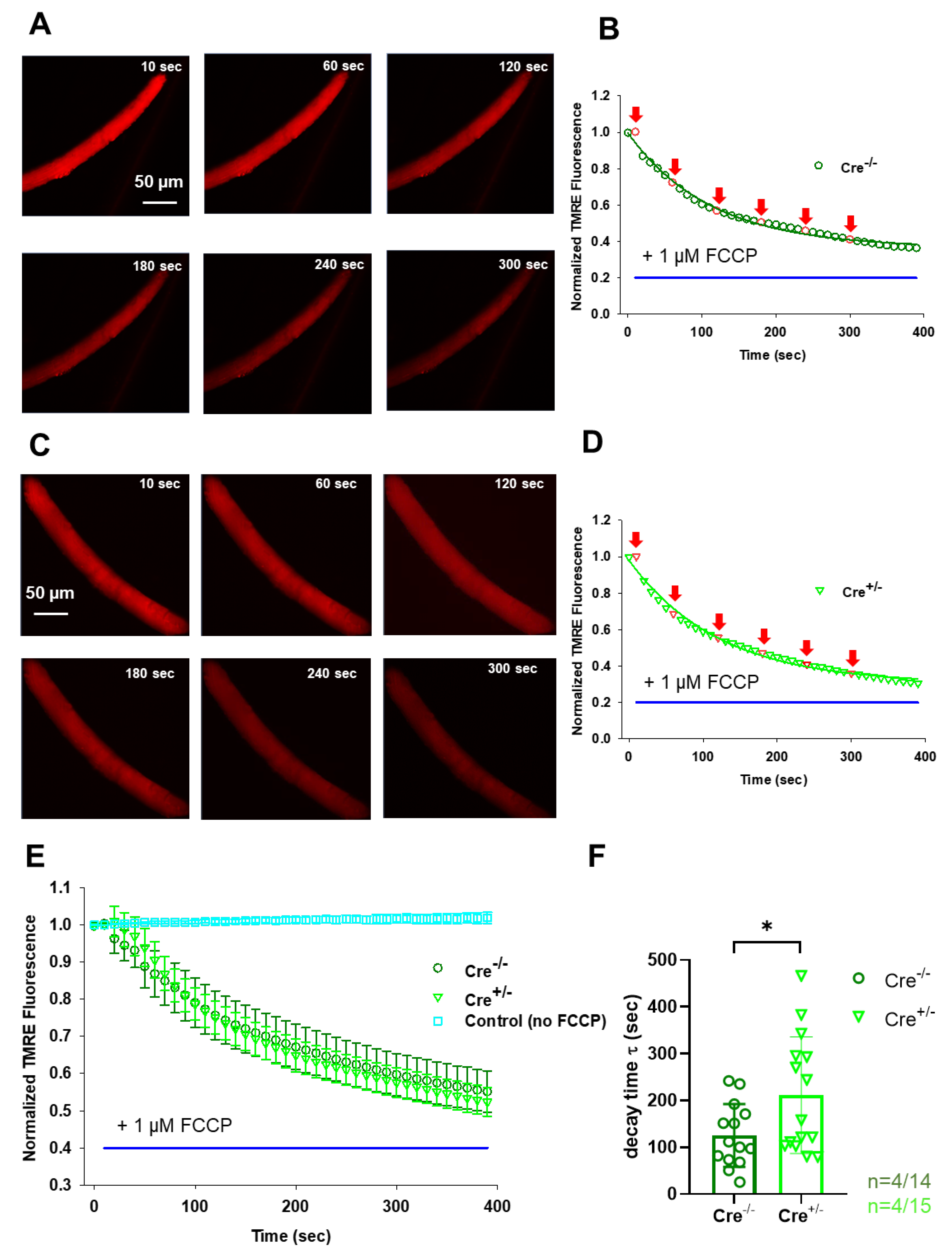 Preprints 154818 g005