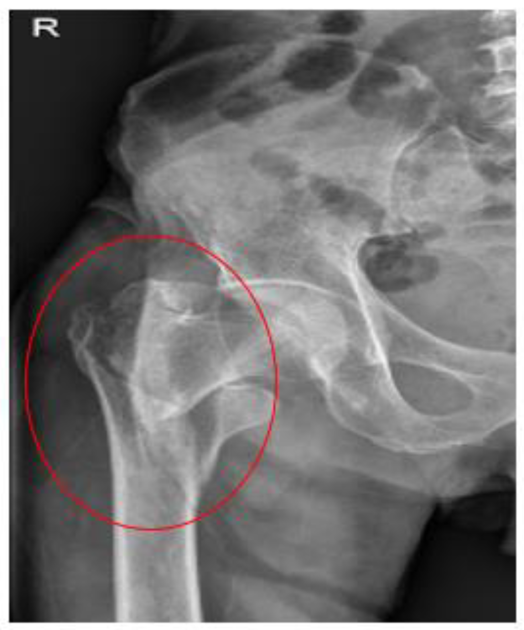 Preprints 96028 g001