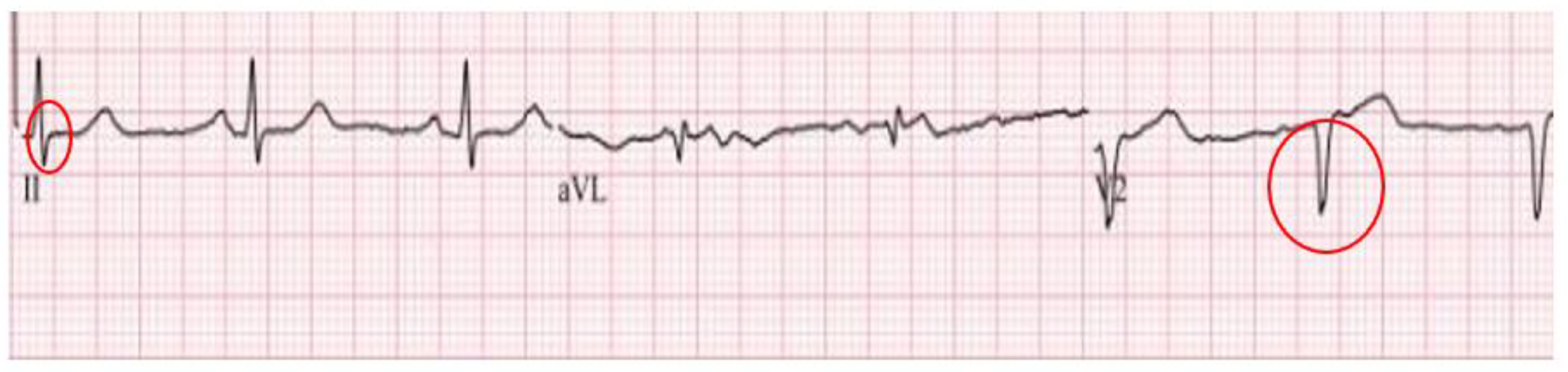 Preprints 96028 g002