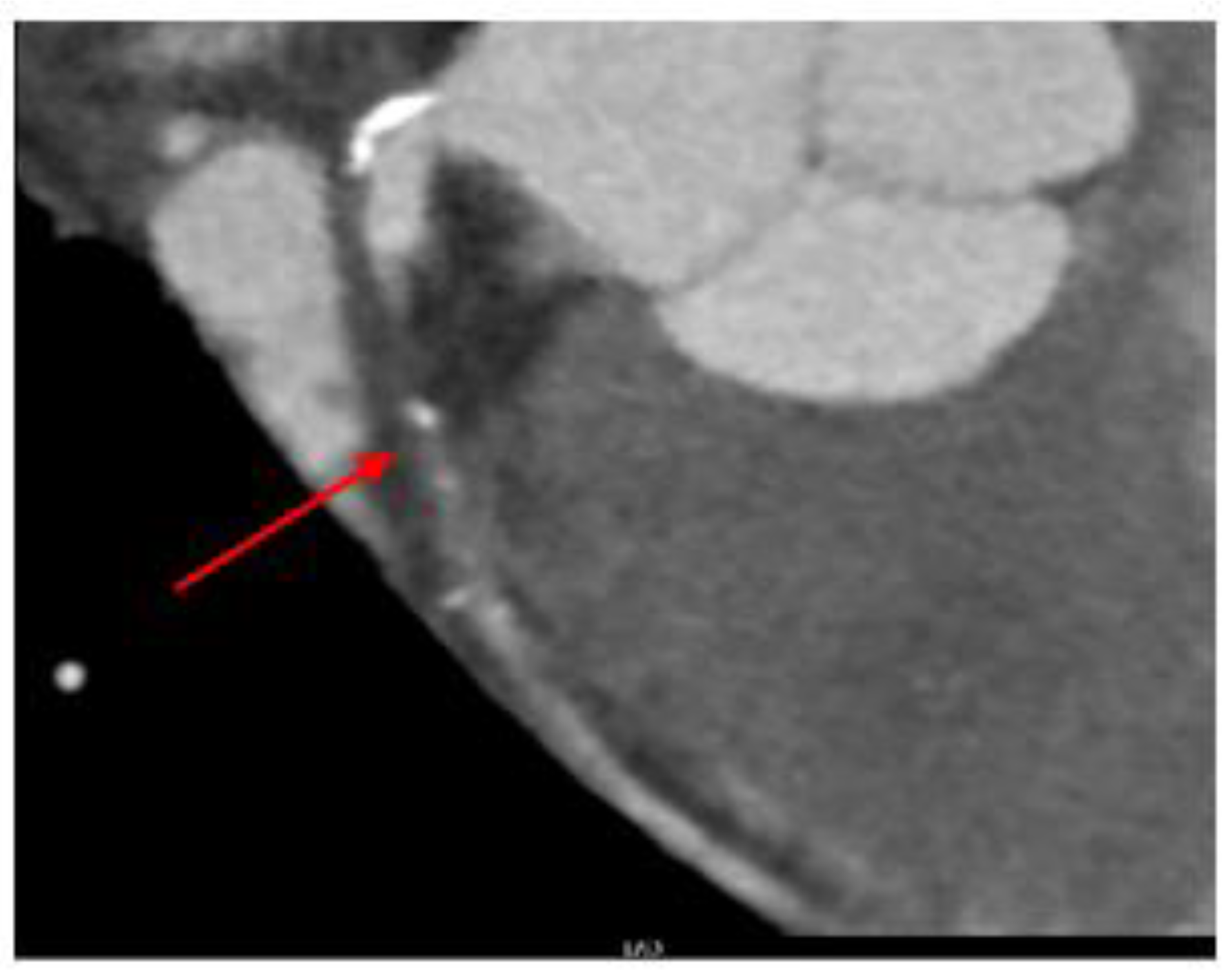 Preprints 96028 g003