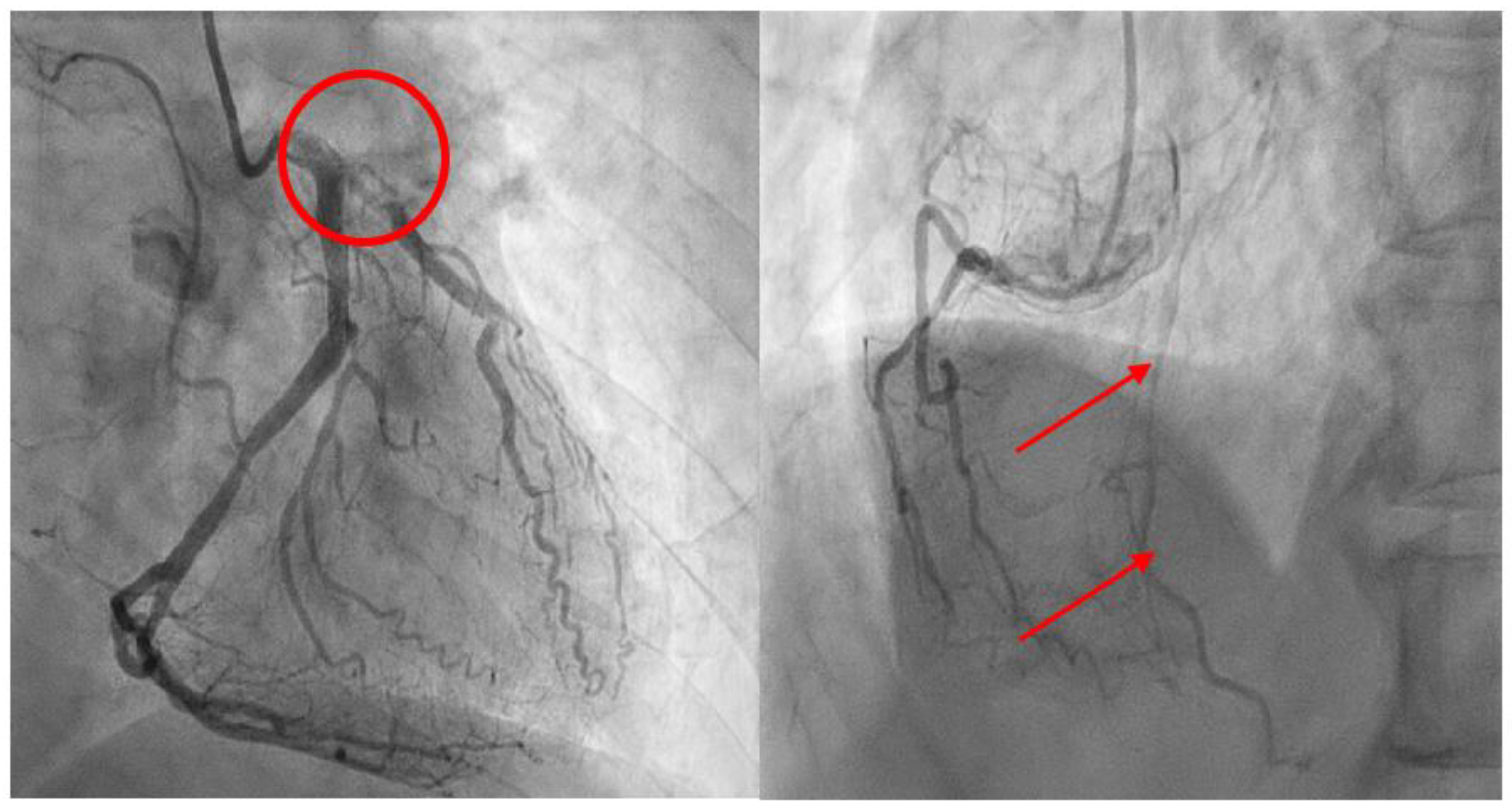 Preprints 96028 g004