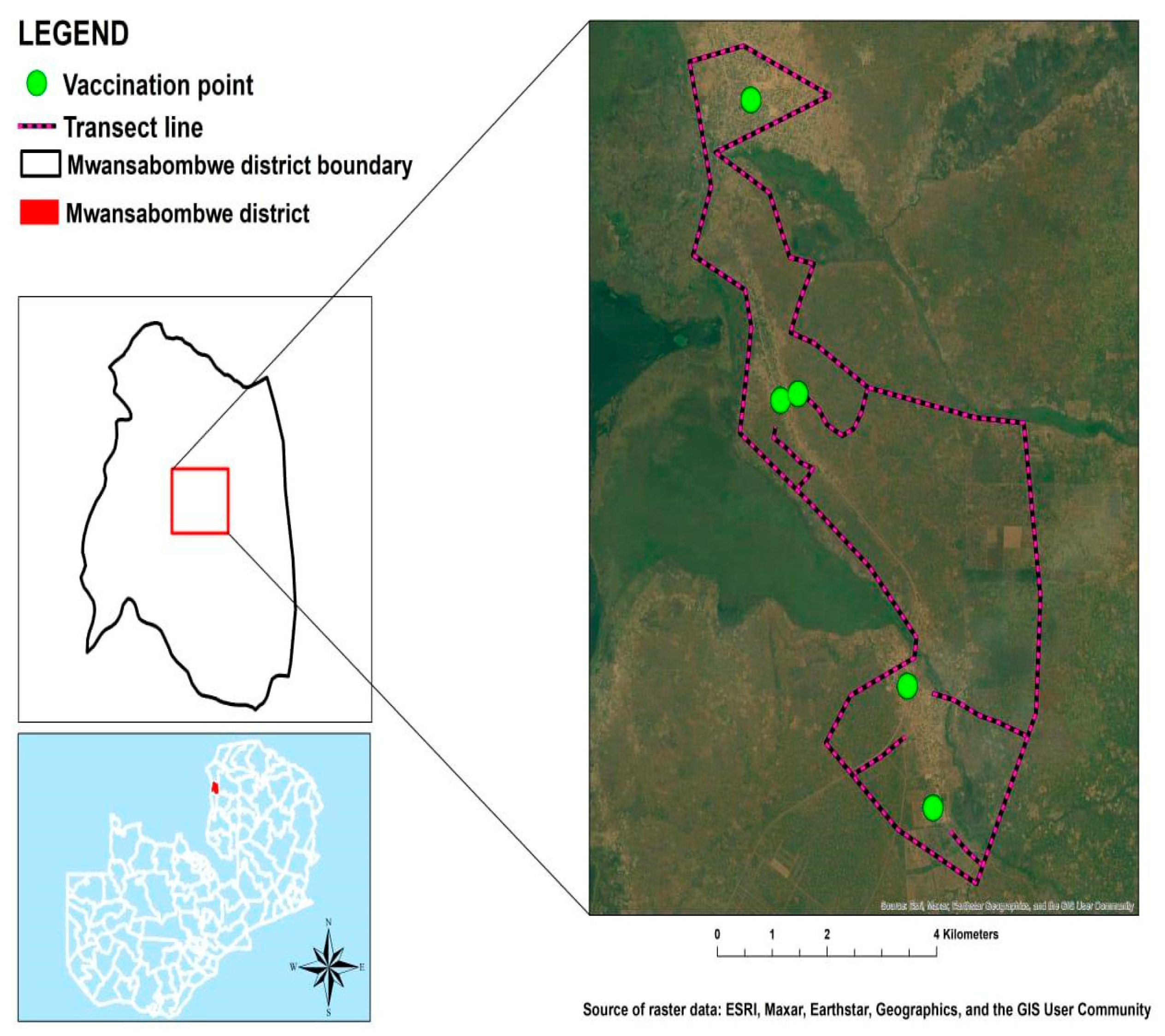 Preprints 99856 g002