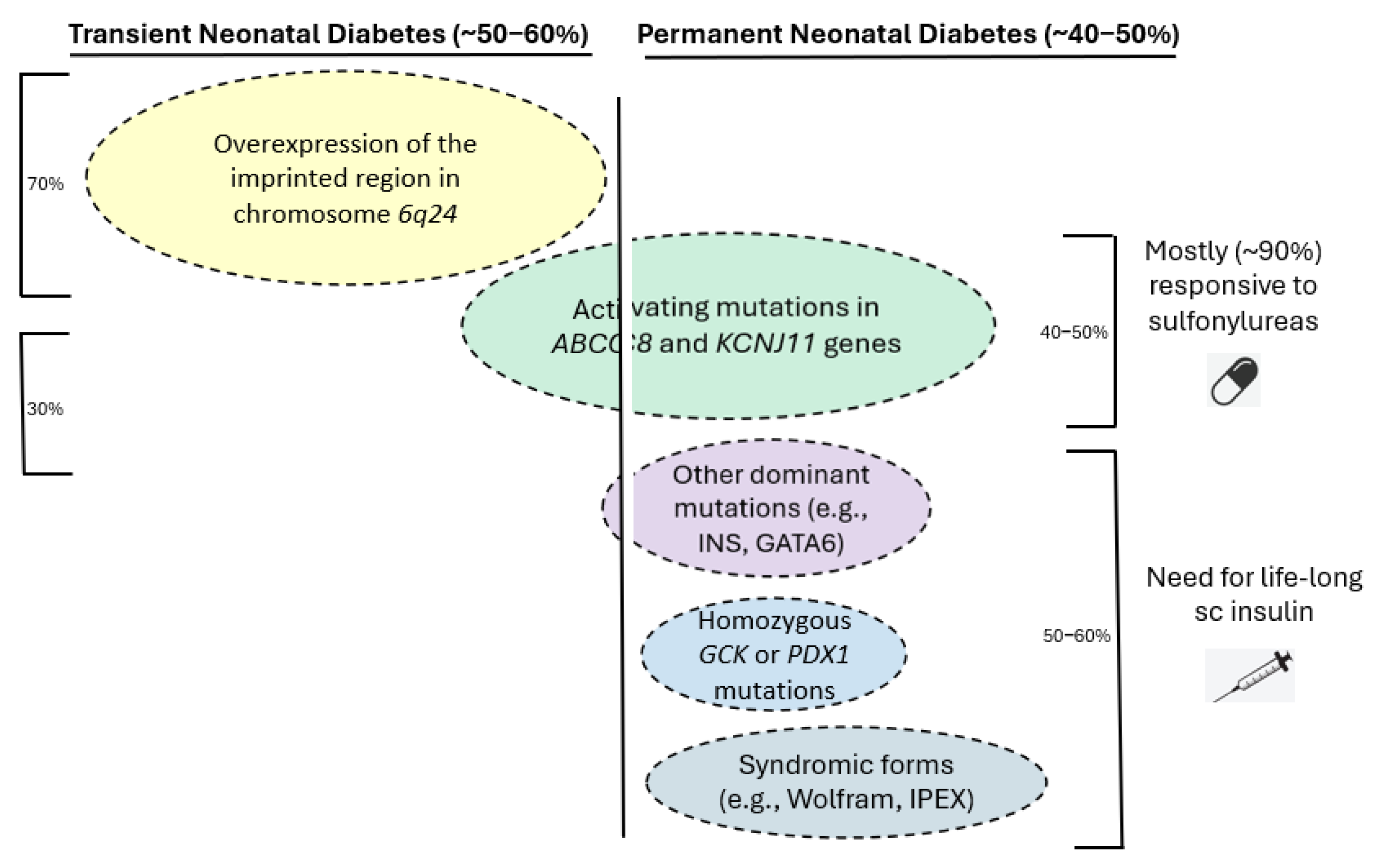 Preprints 198153 g001