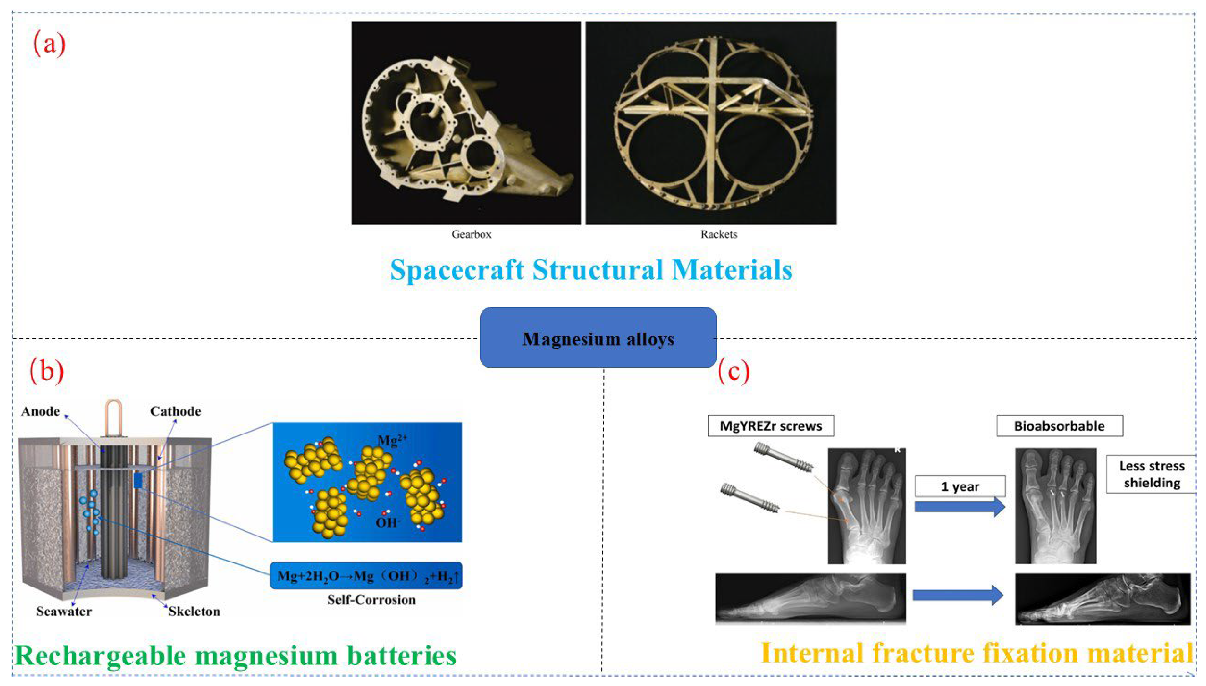 Preprints 141276 g001
