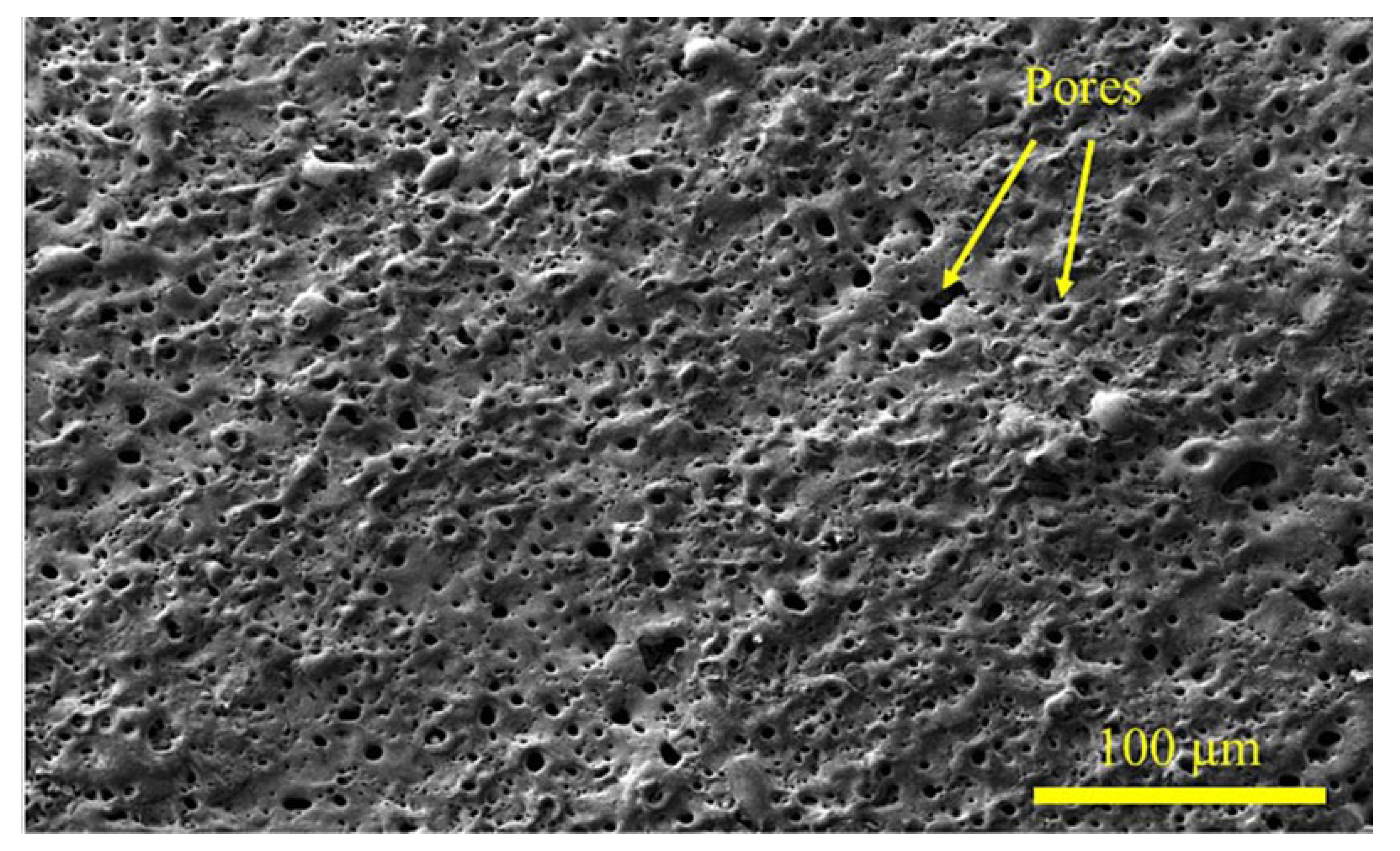 Preprints 141276 g004