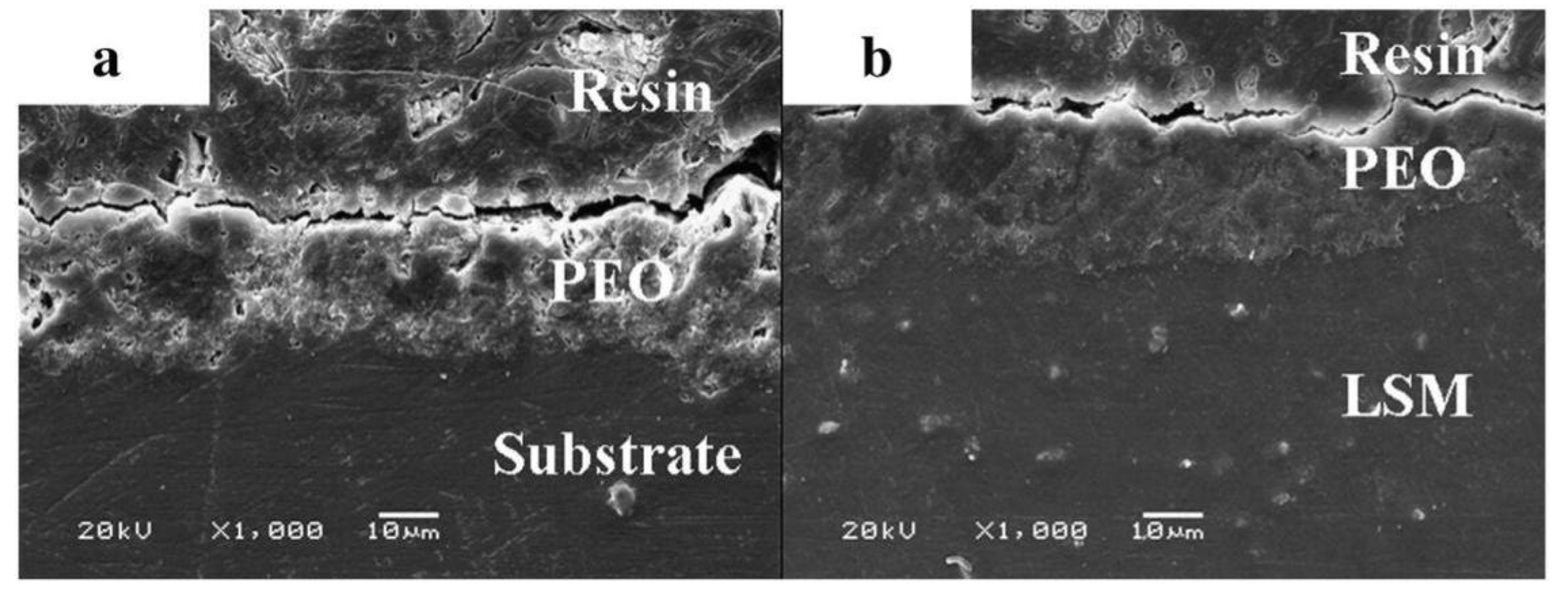 Preprints 141276 g008