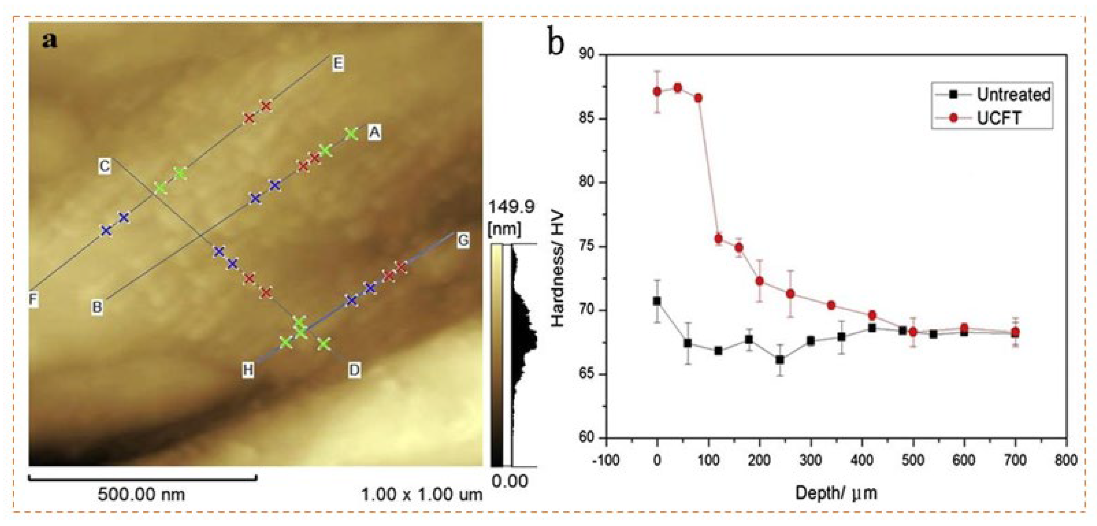 Preprints 141276 g012