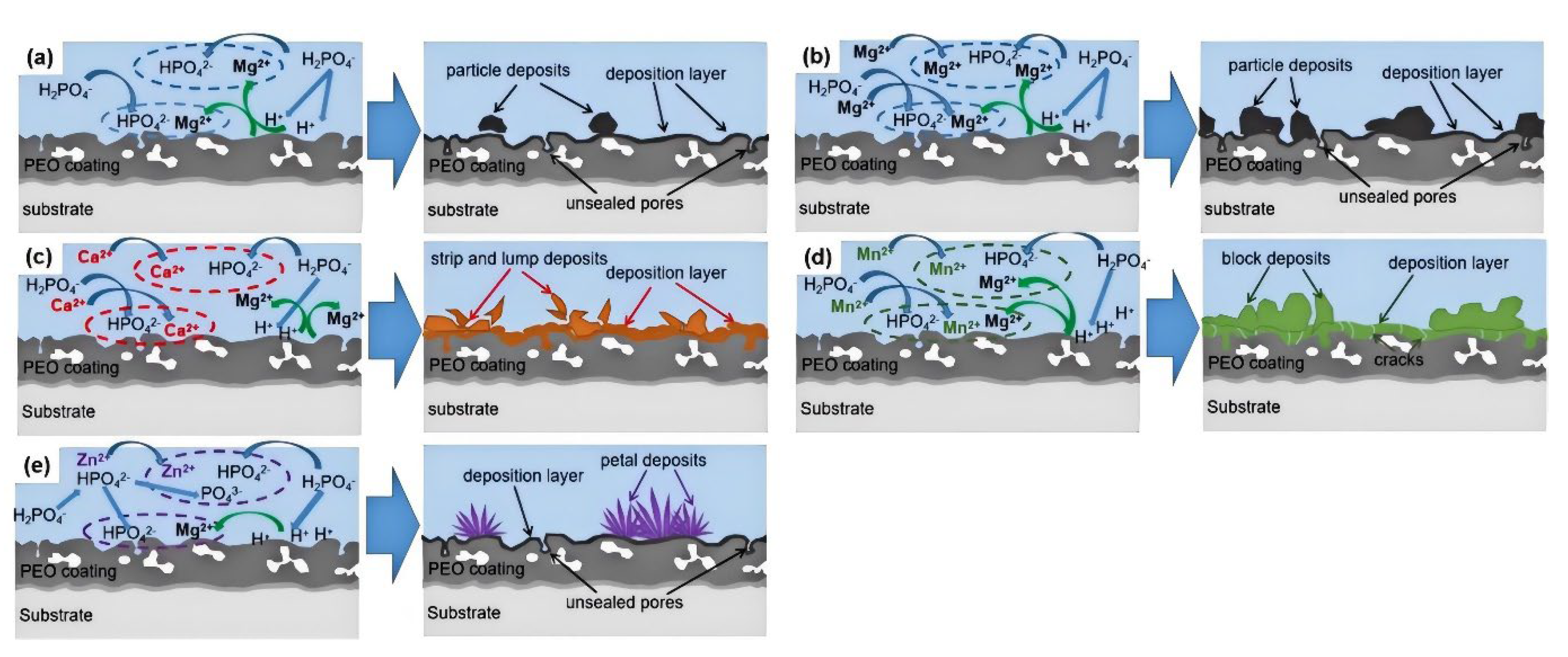 Preprints 141276 g014