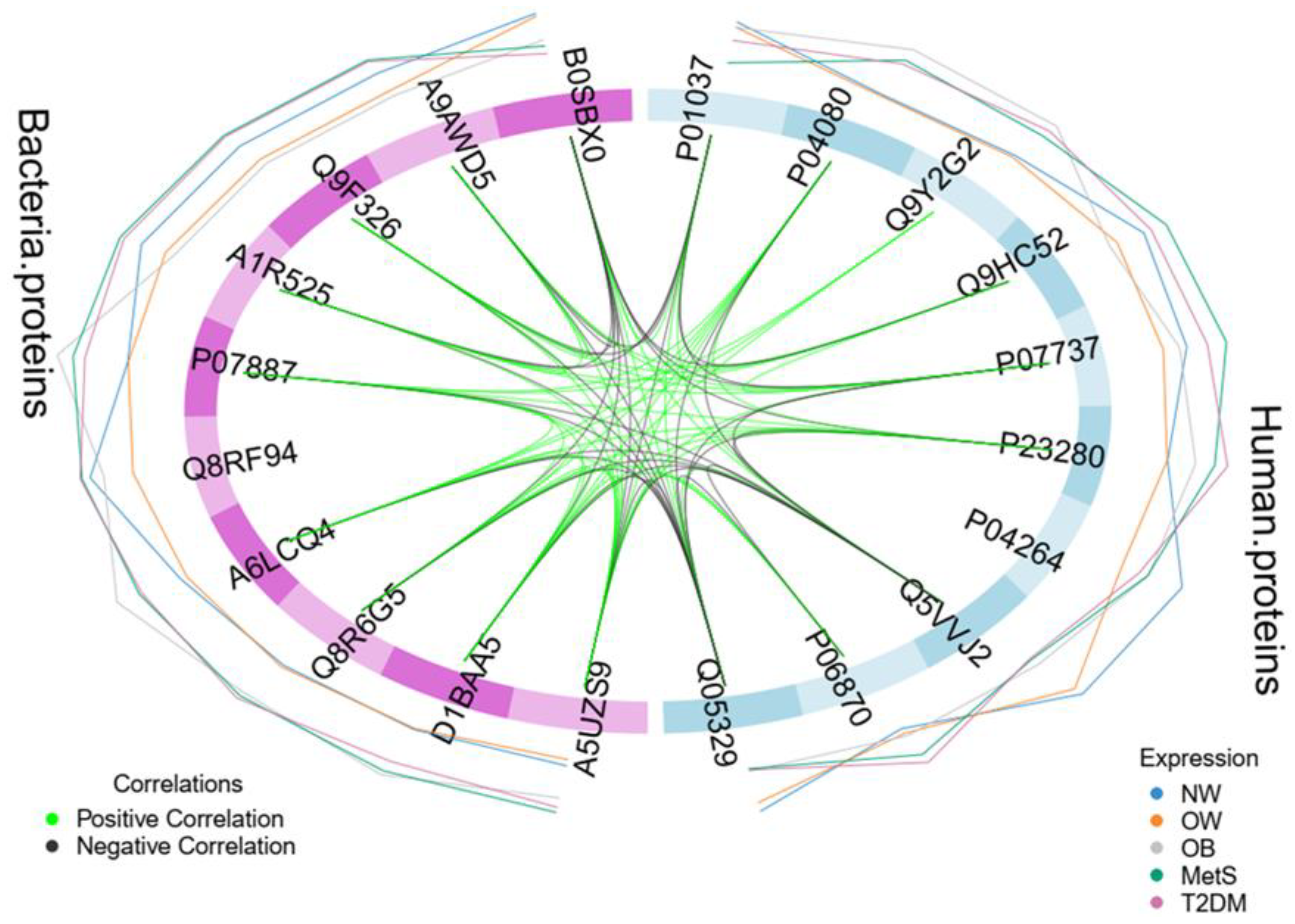 Preprints 195576 g003