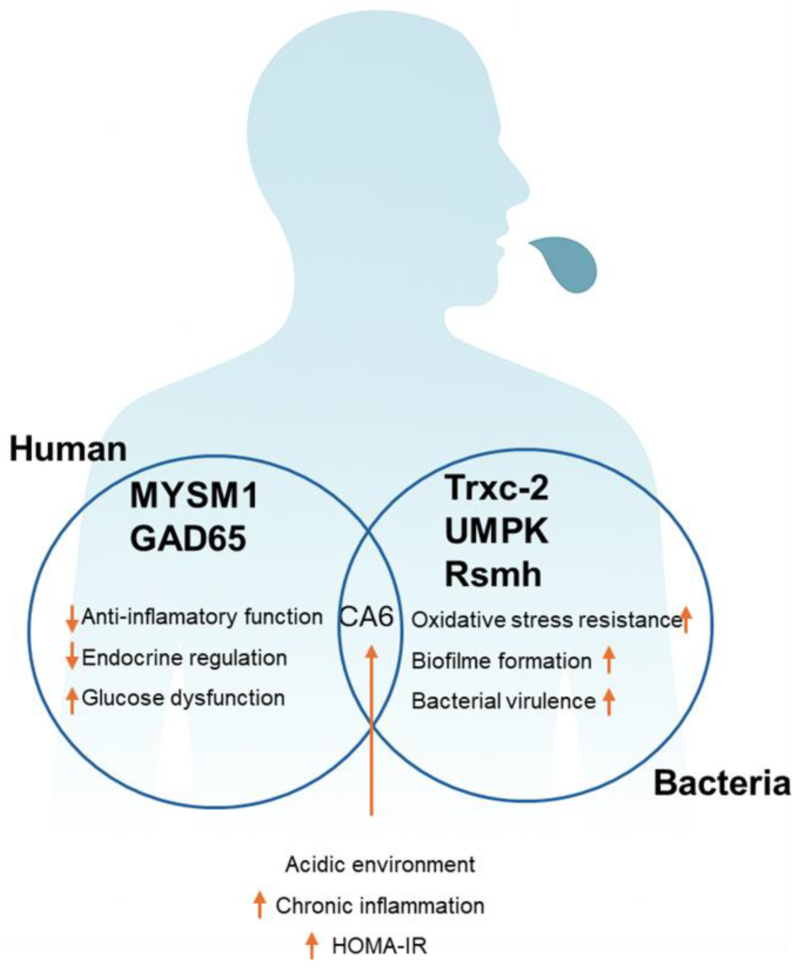 Preprints 195576 g004