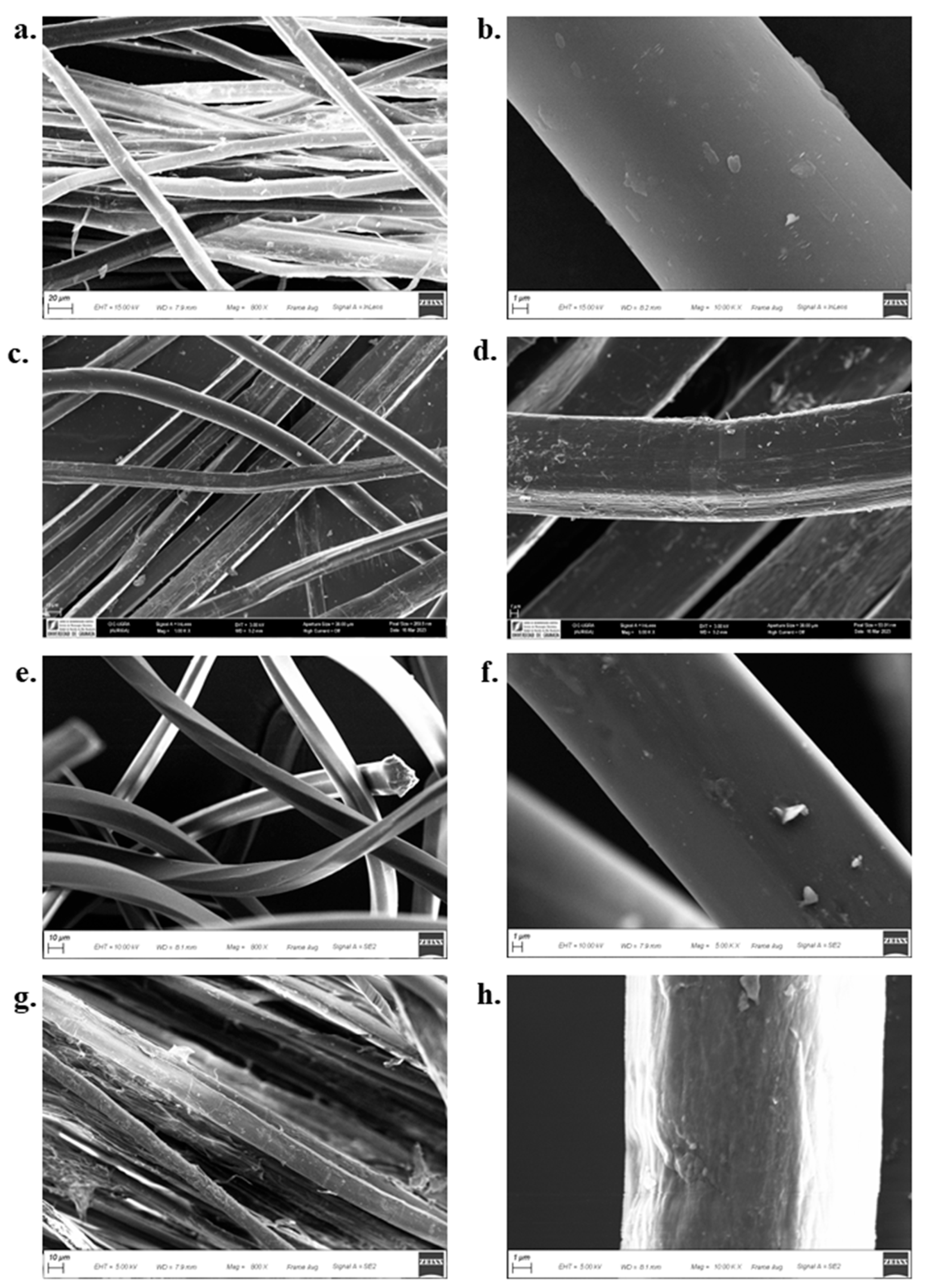 Preprints 198088 g009