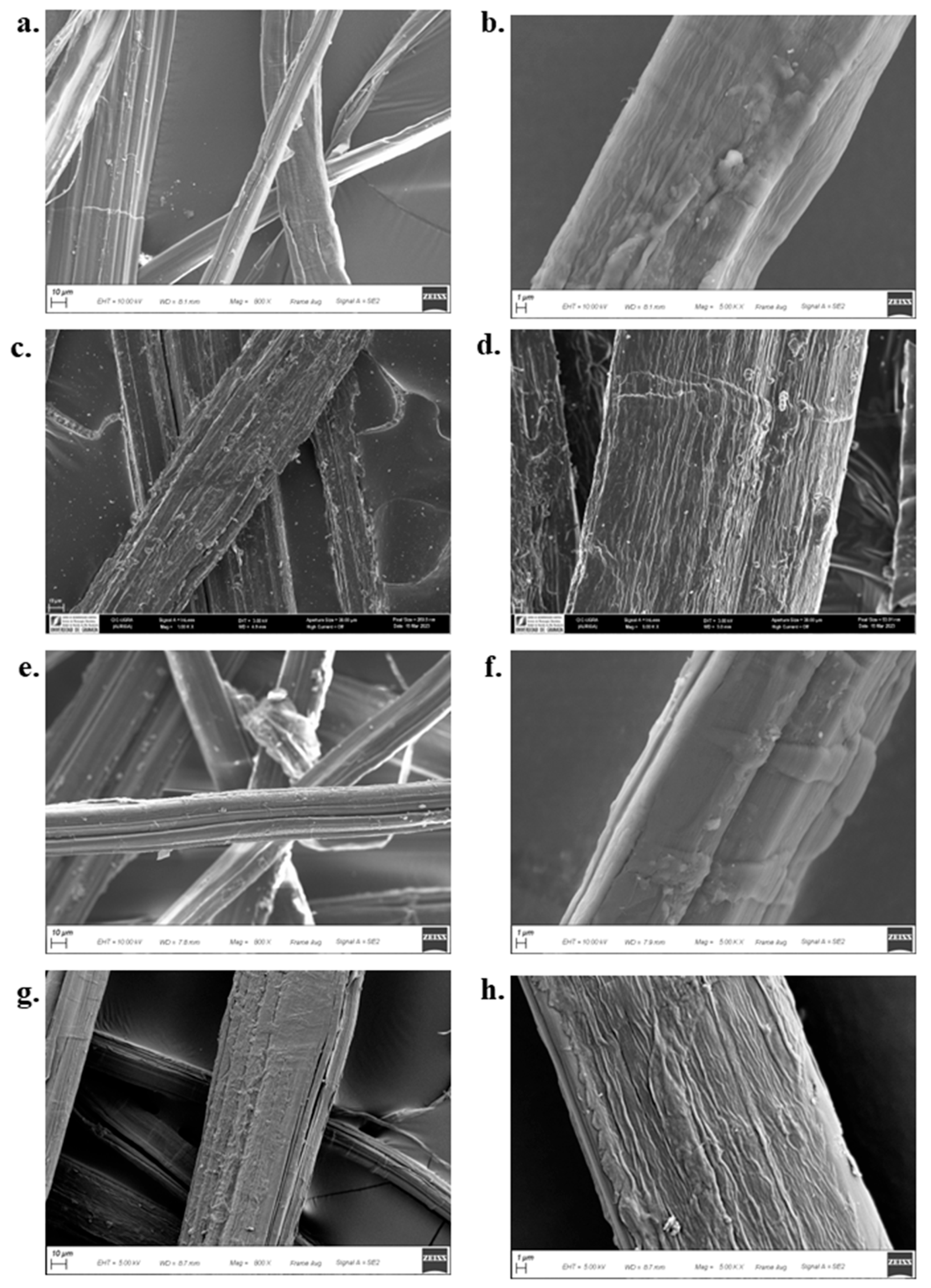 Preprints 198088 g010