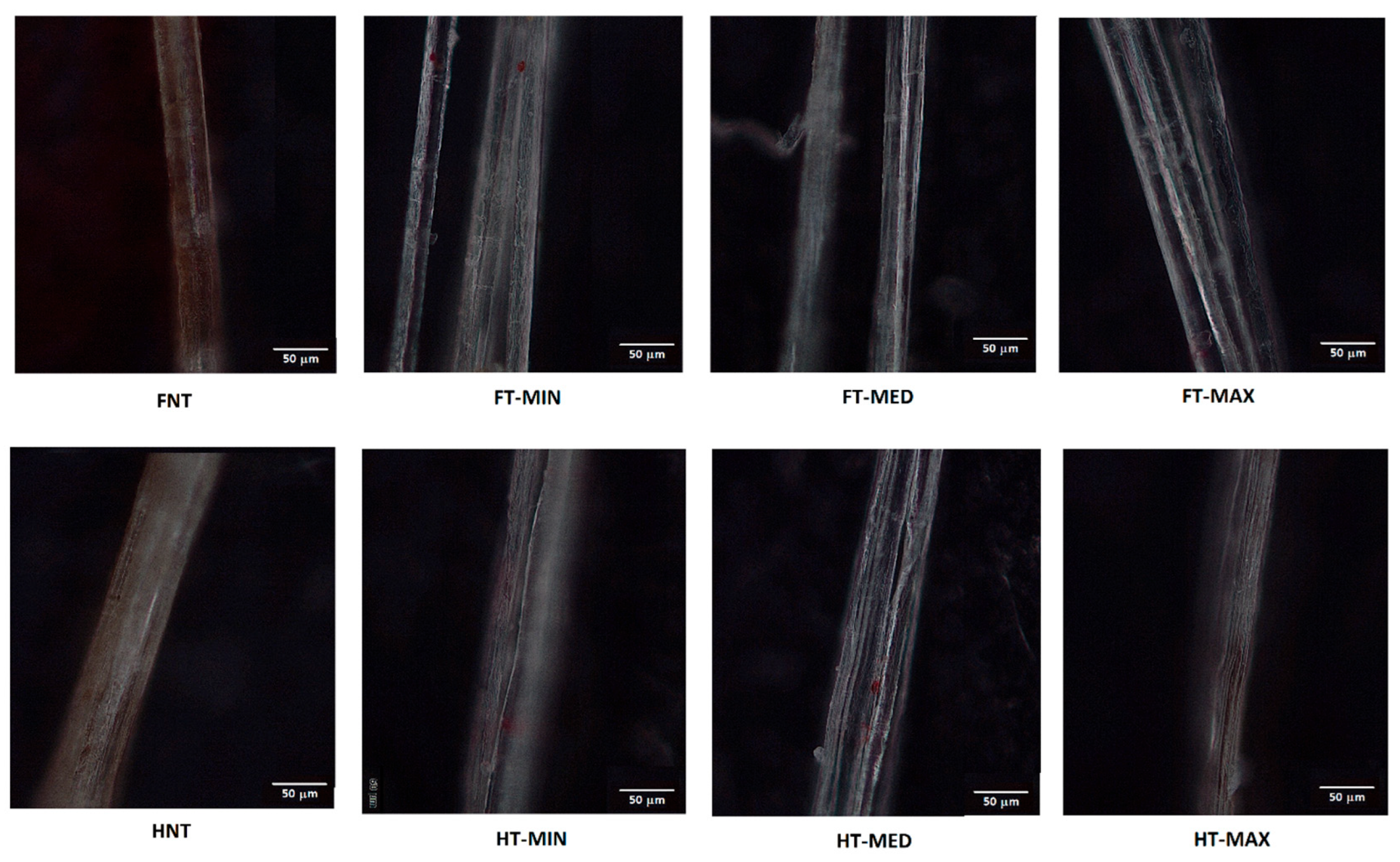 Preprints 198088 g011