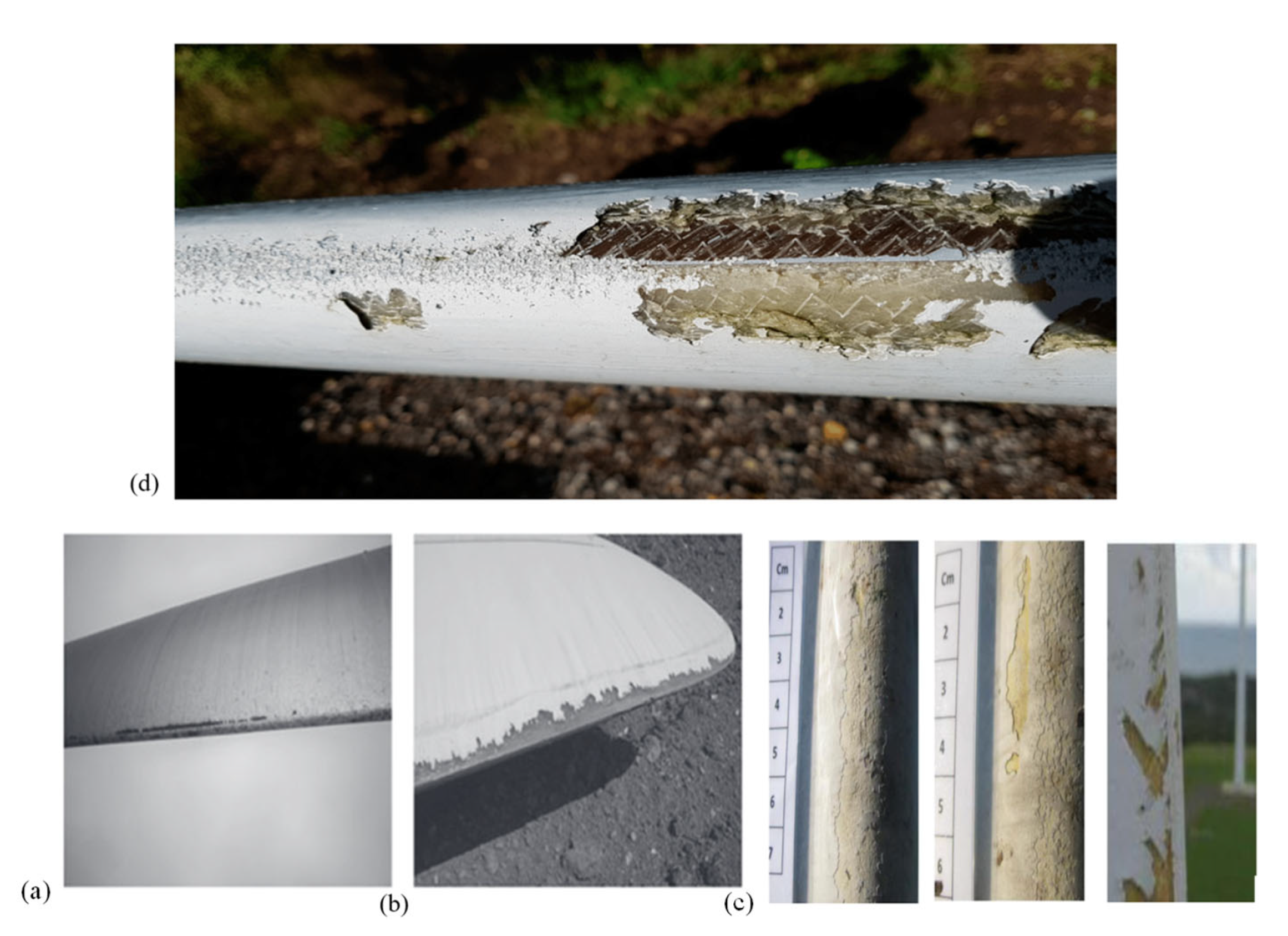 Preprints 160327 g015