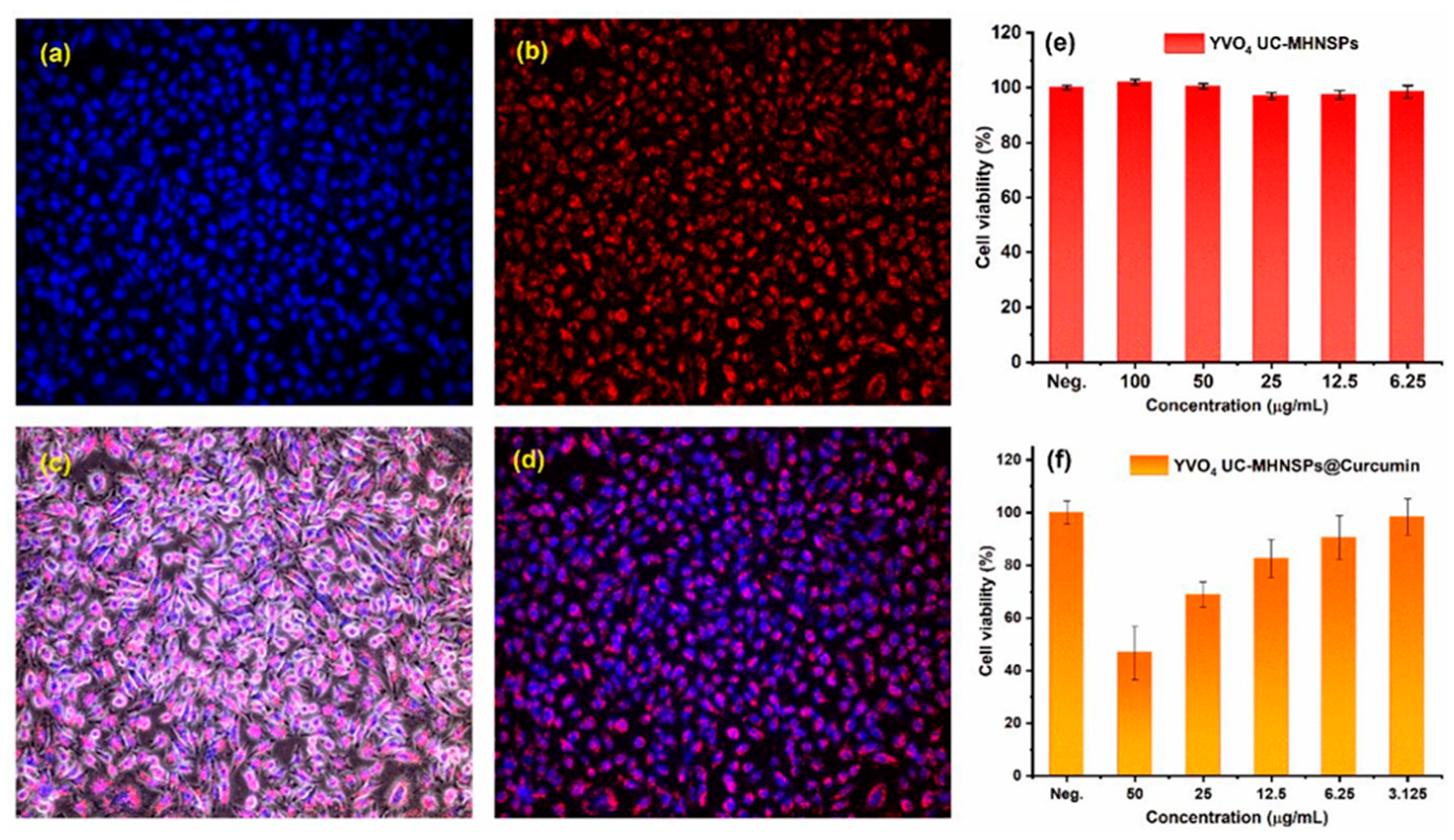 Preprints 202914 g009