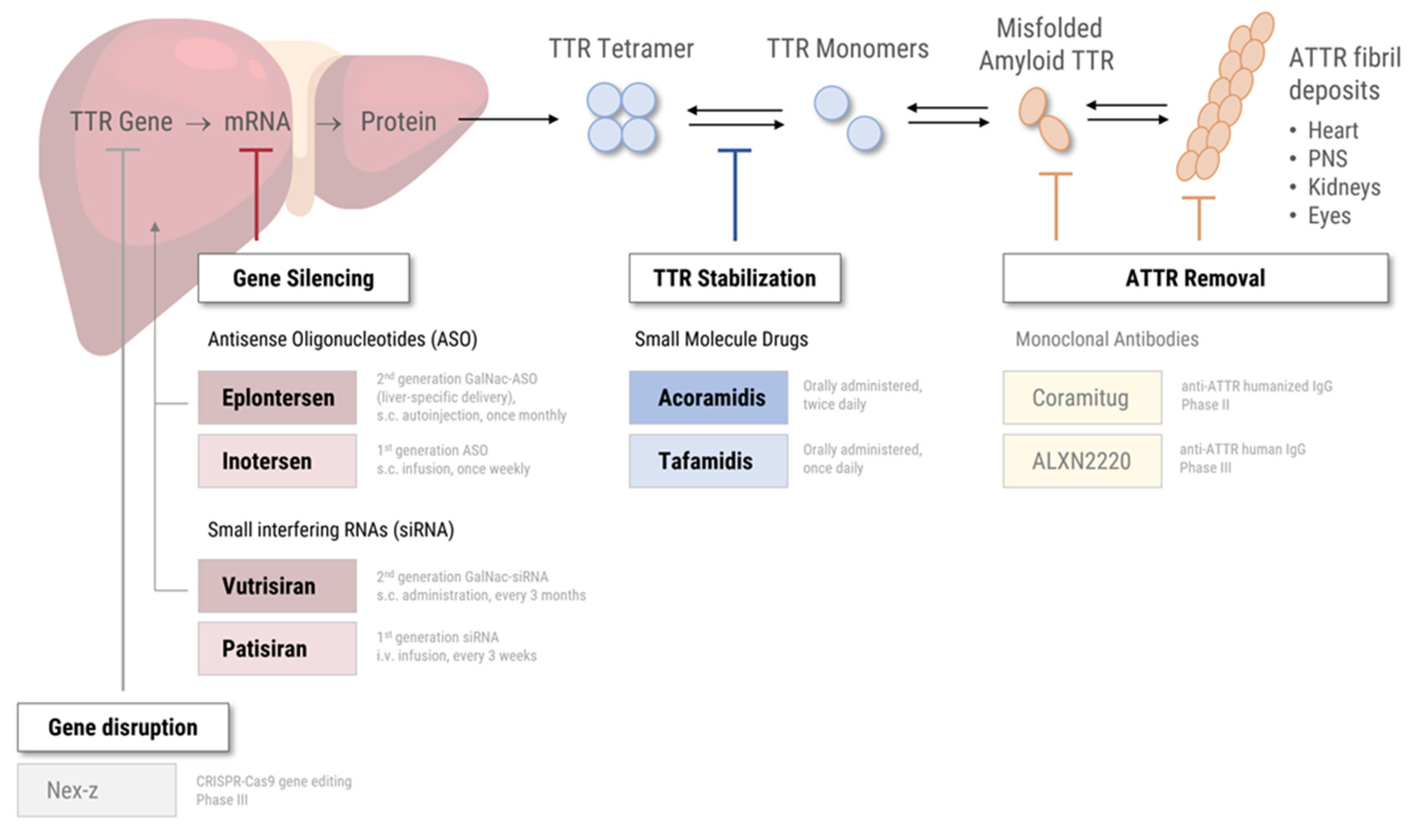 Preprints 160780 g001