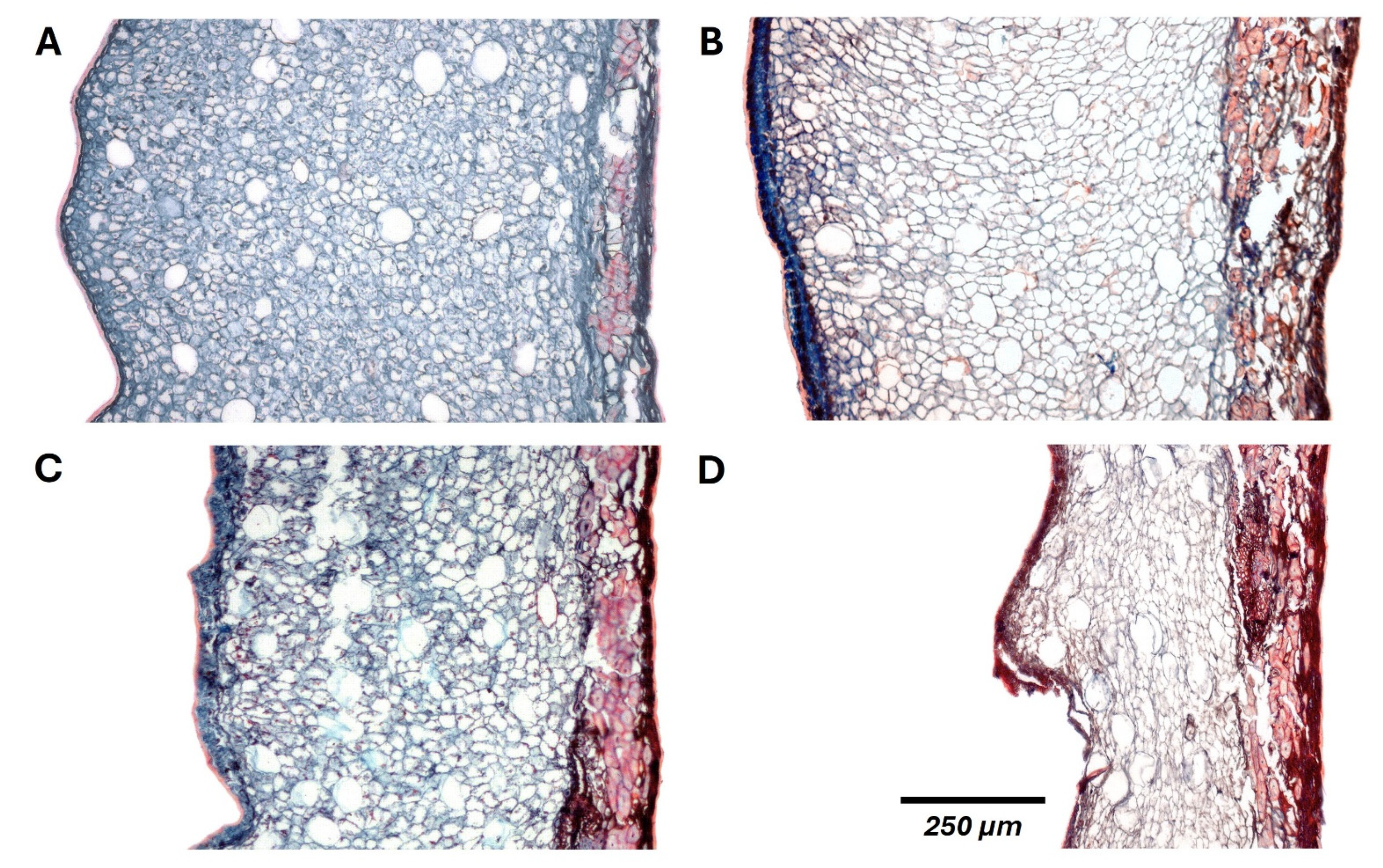 Preprints 178817 g005