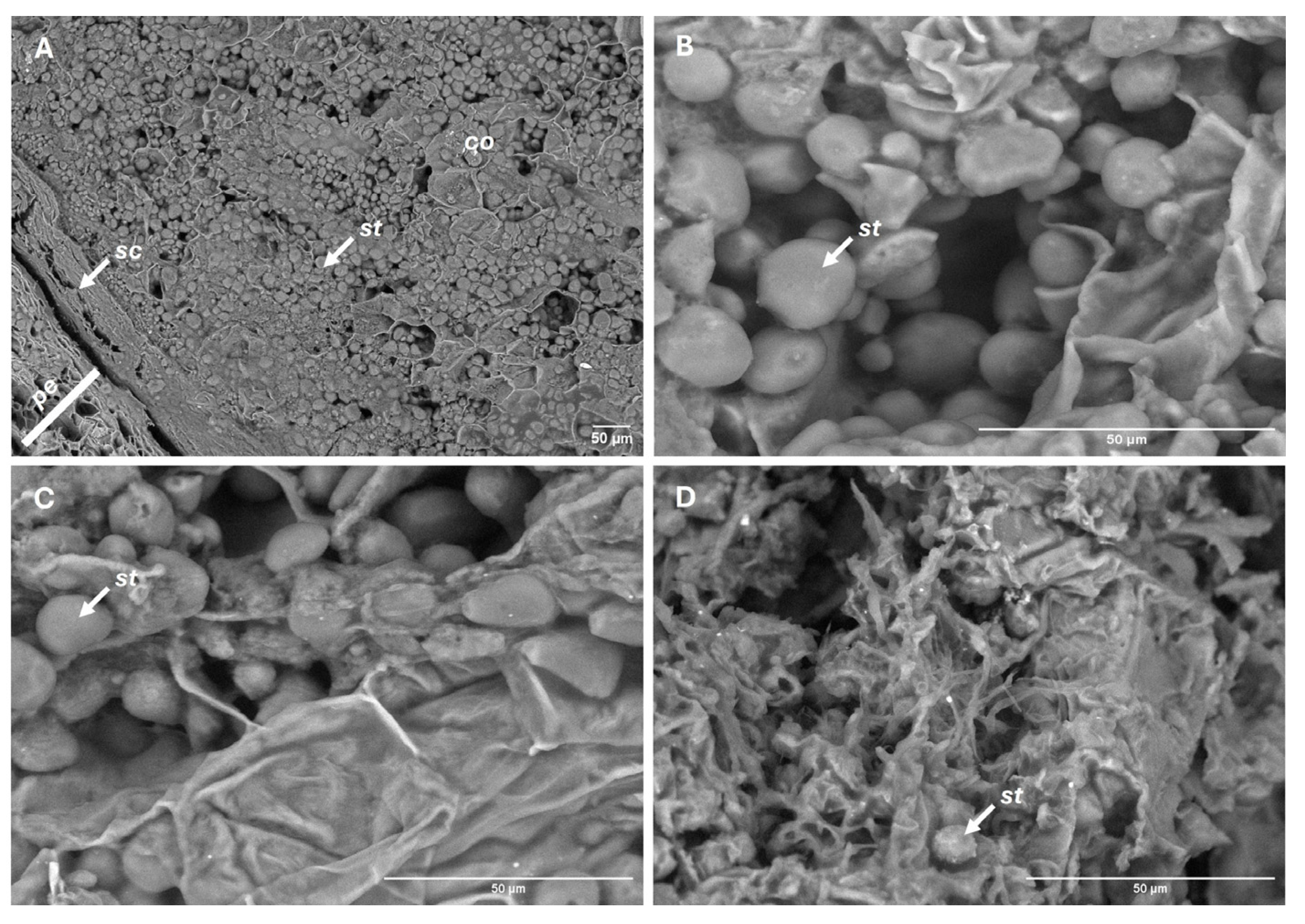 Preprints 178817 g008