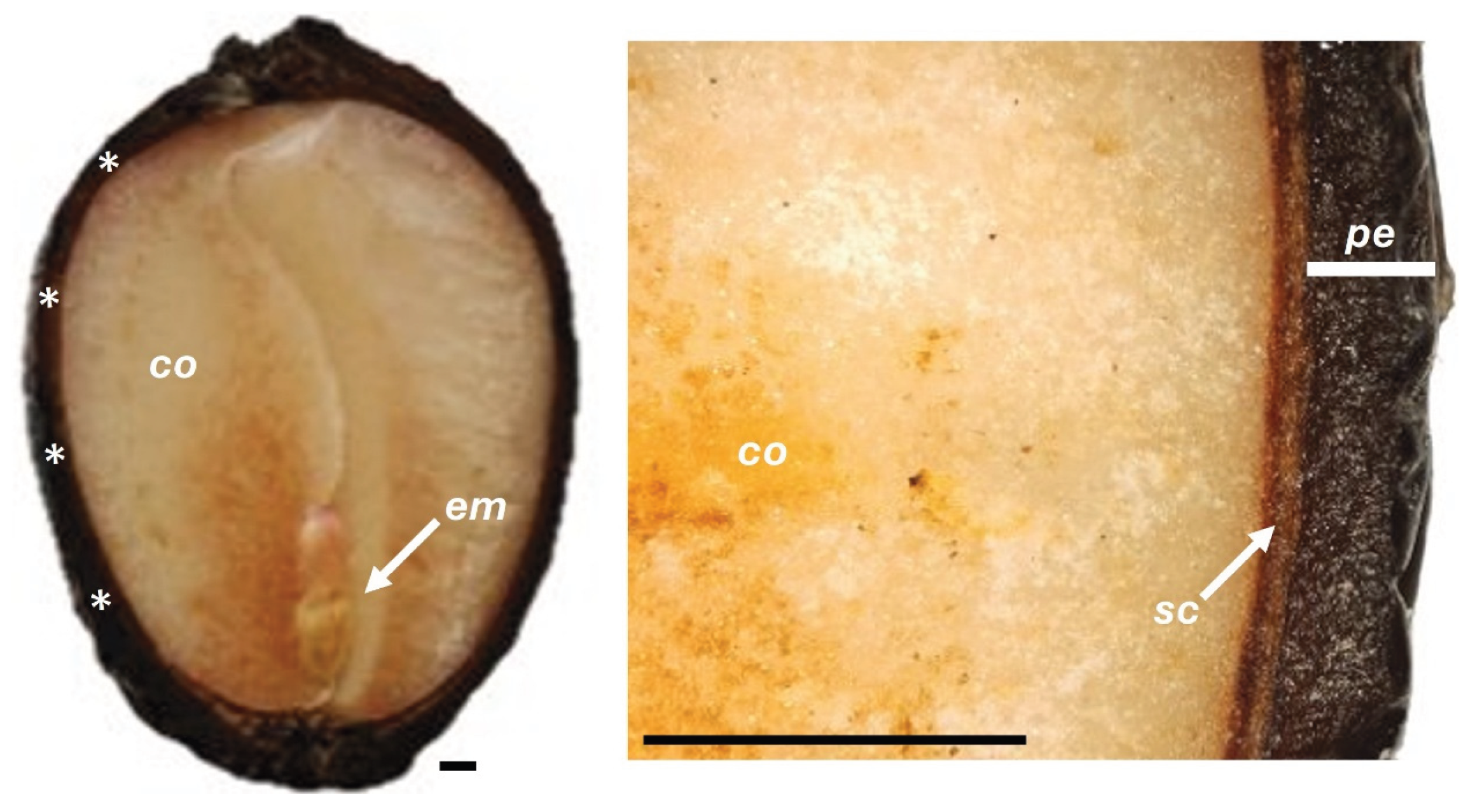 Preprints 178817 g009
