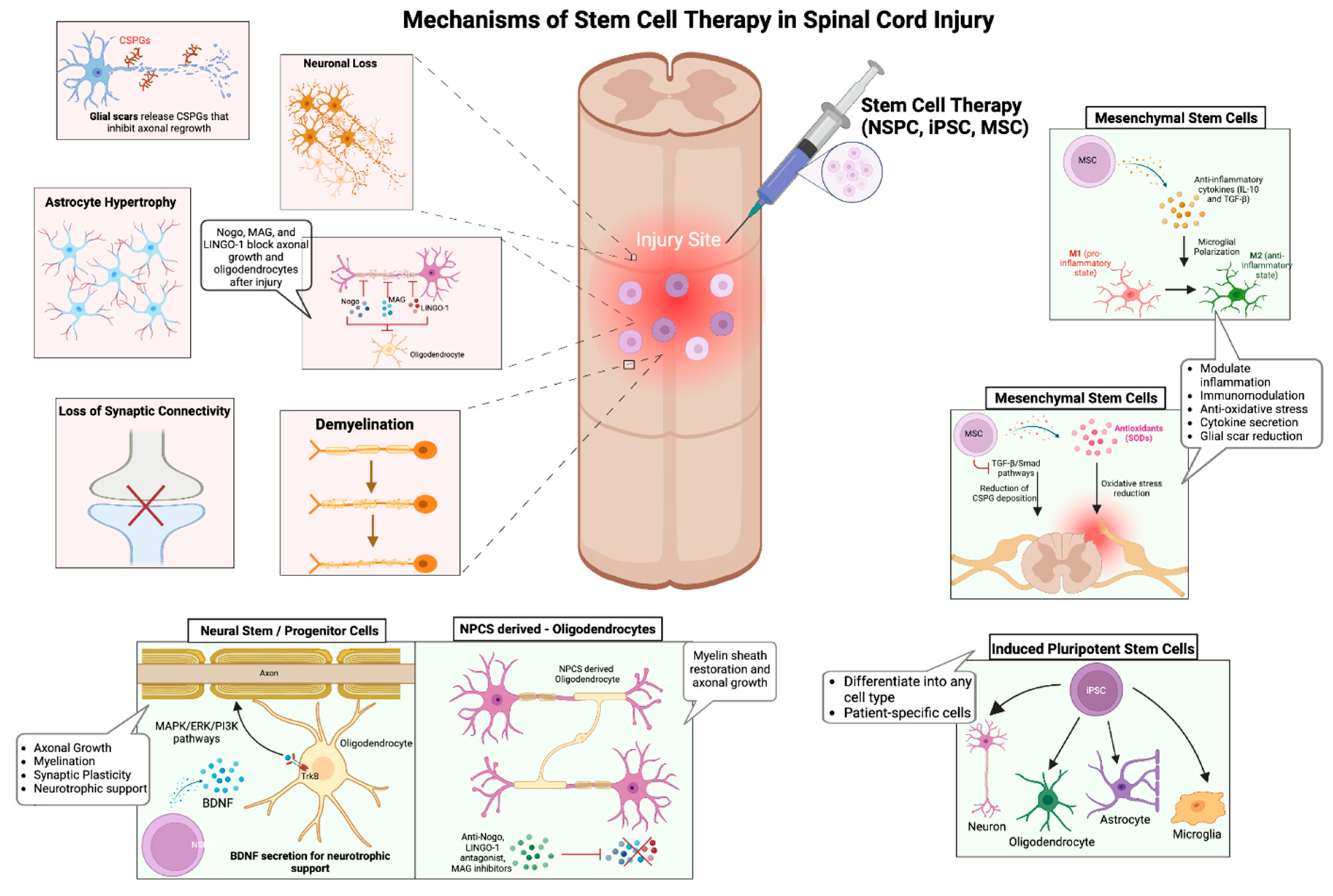 Preprints 153362 g001