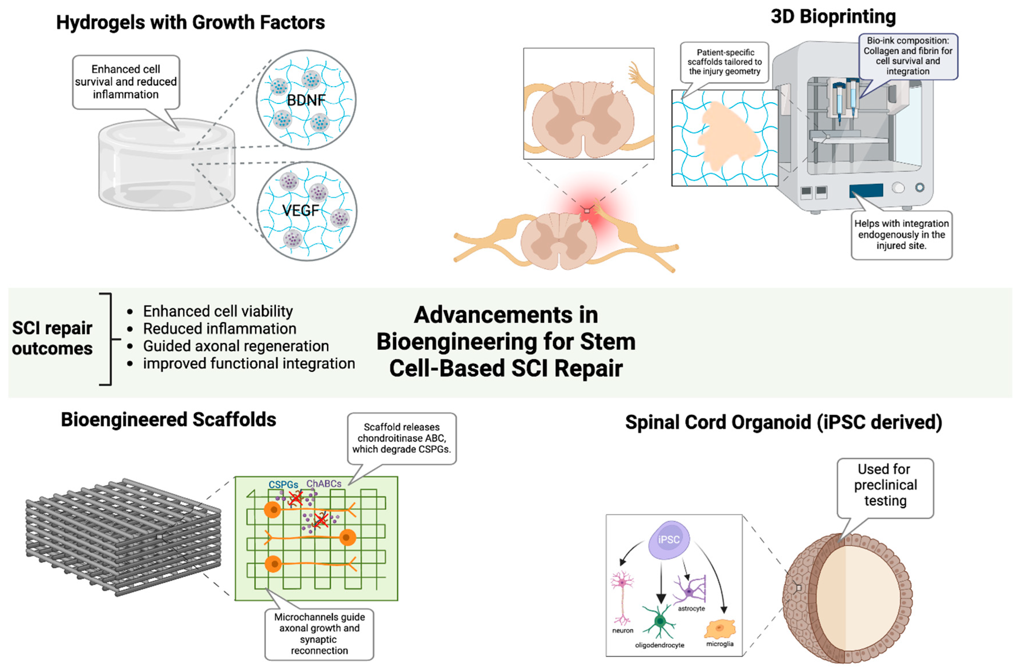 Preprints 153362 g002