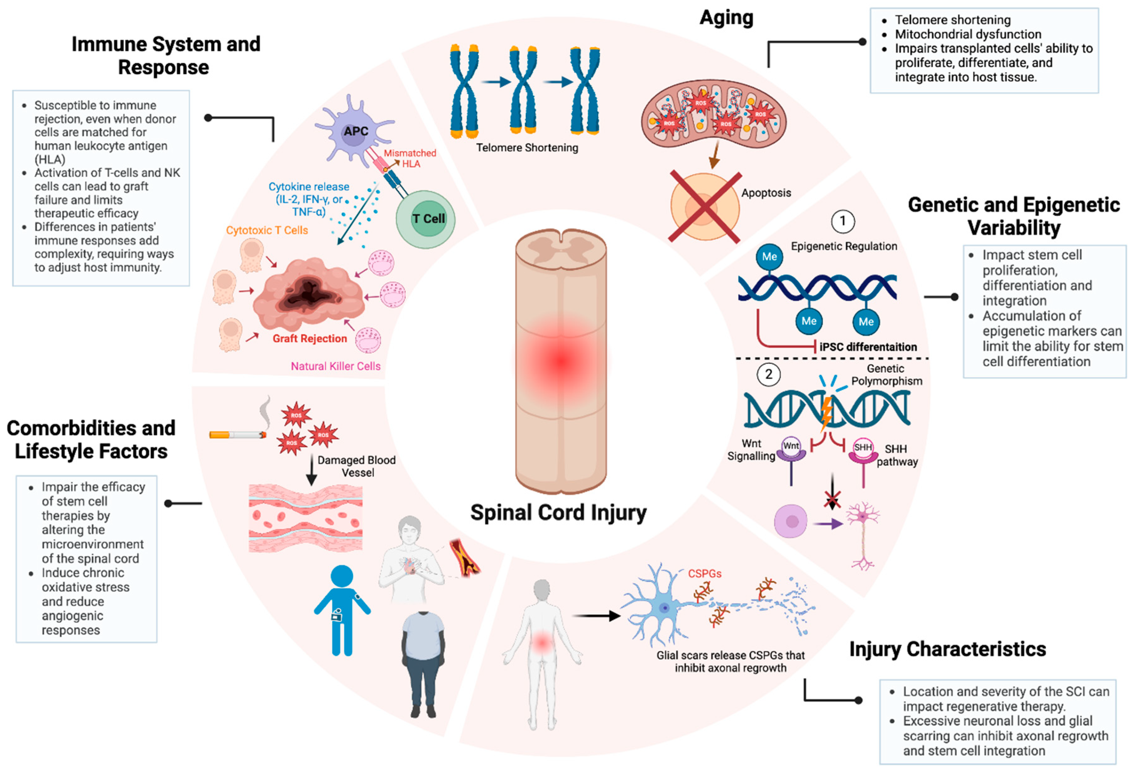 Preprints 153362 g003