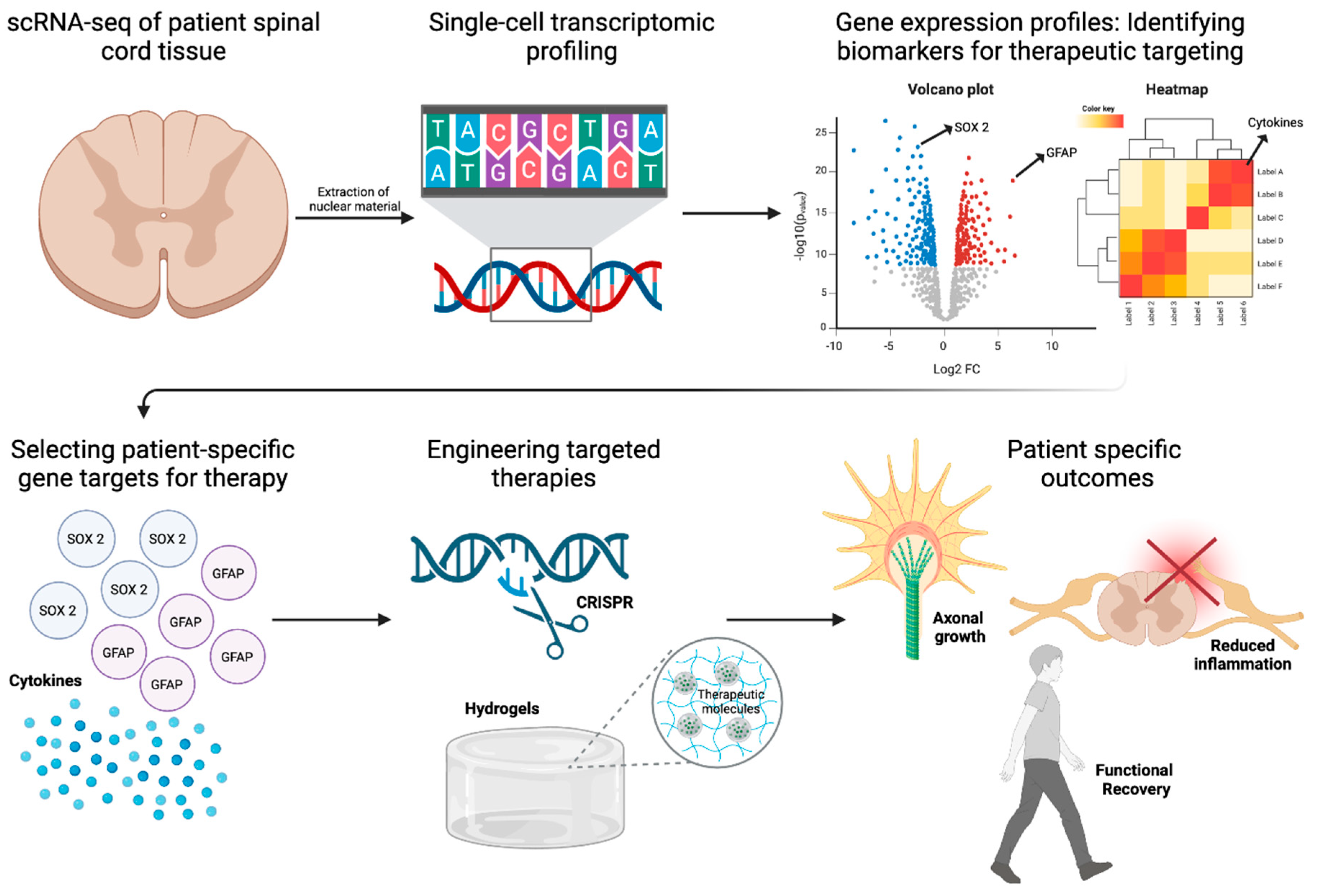 Preprints 153362 g004