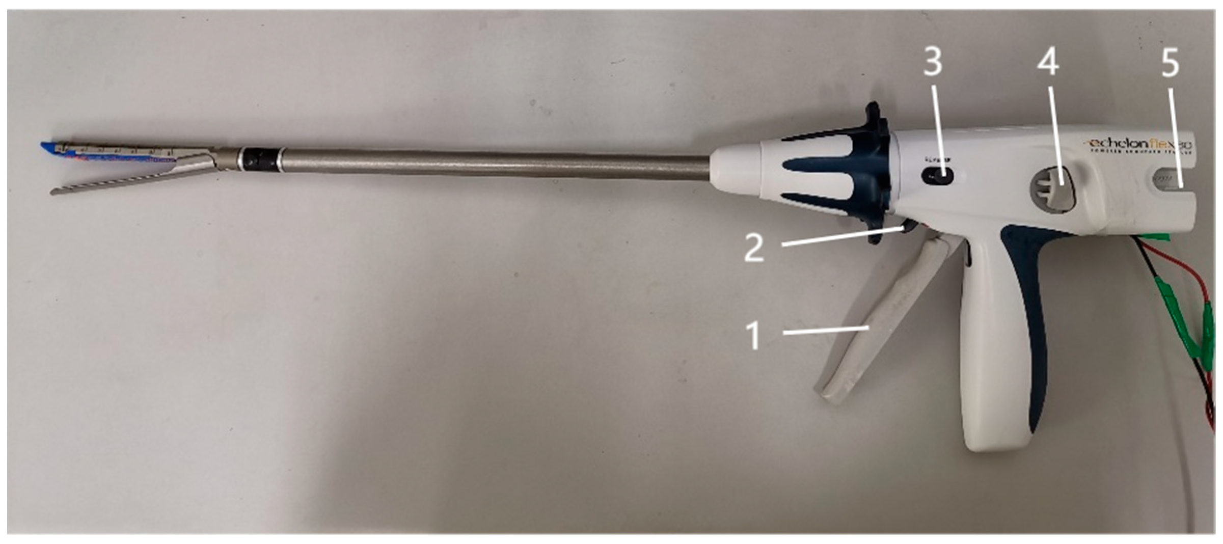 Preprints 93114 g002