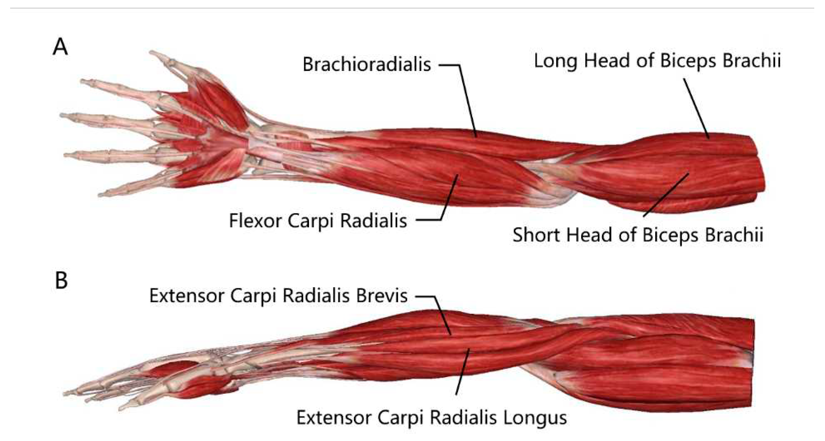 Preprints 93114 g003