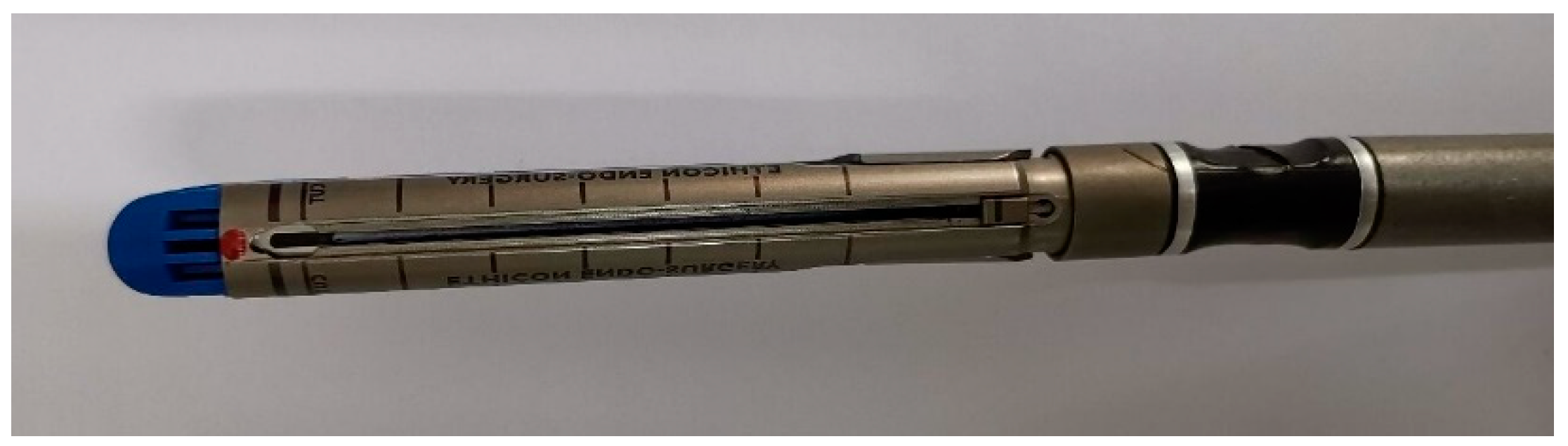 Preprints 93114 g004