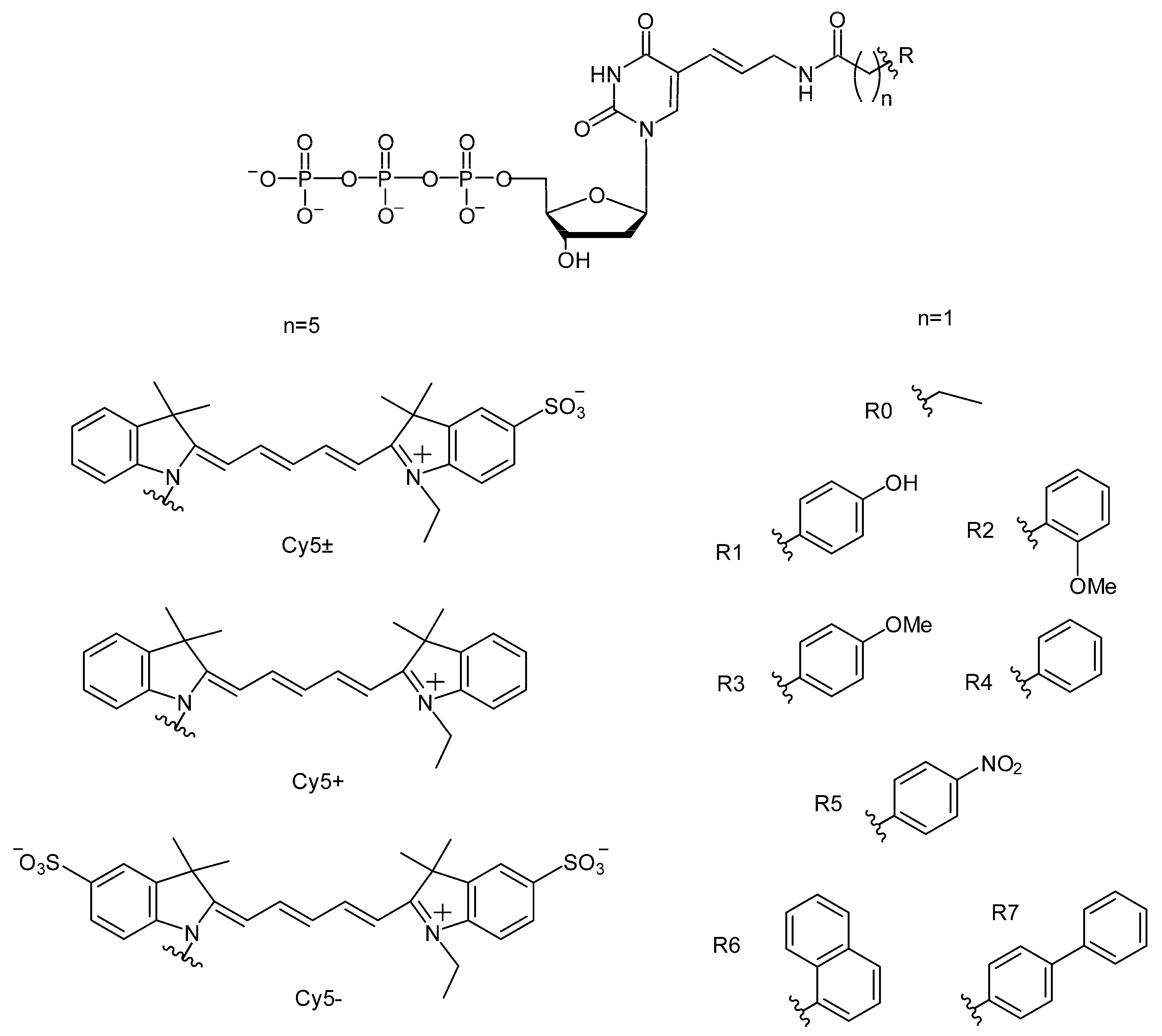 Preprints 81126 g001