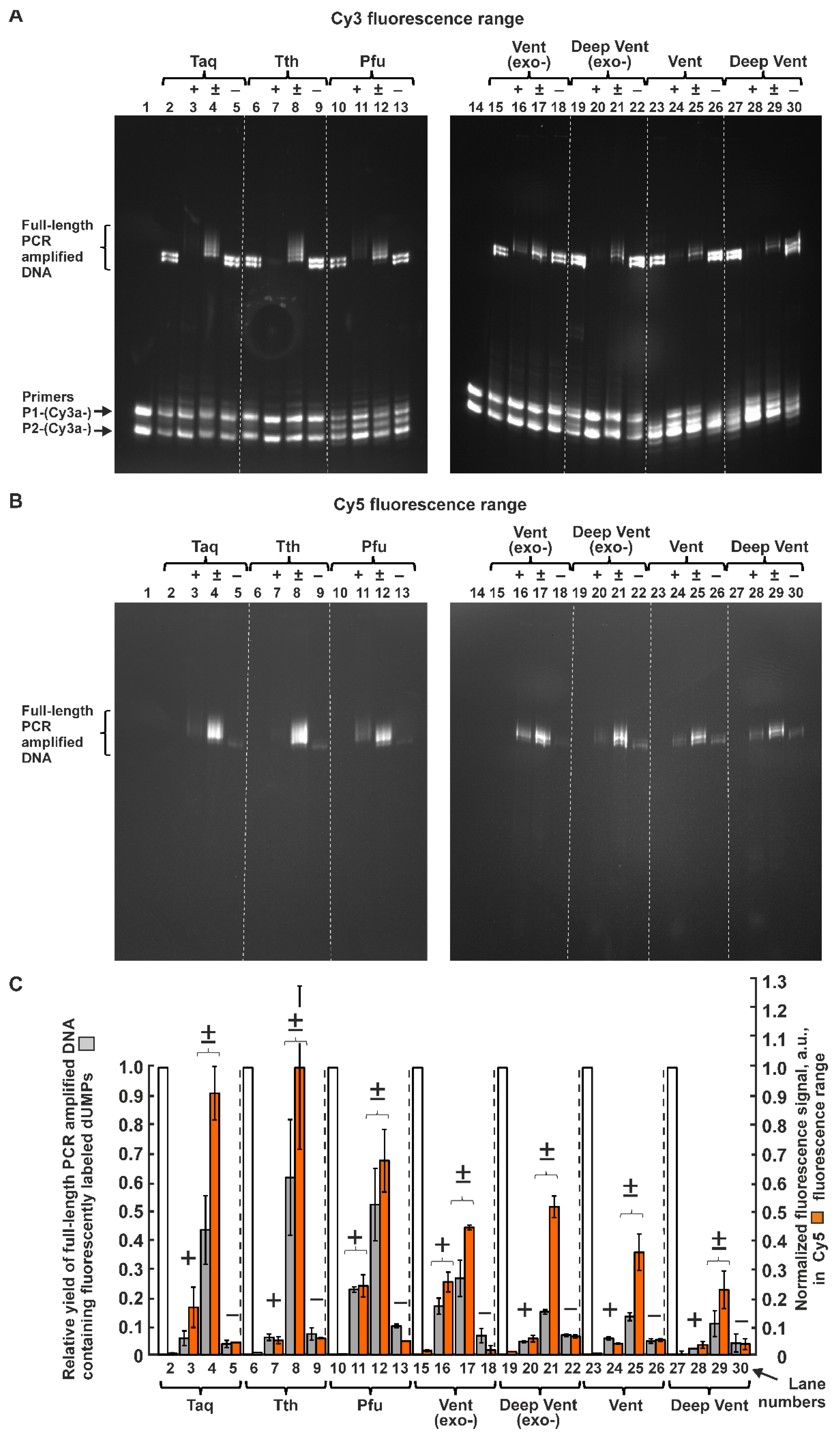 Preprints 81126 g002