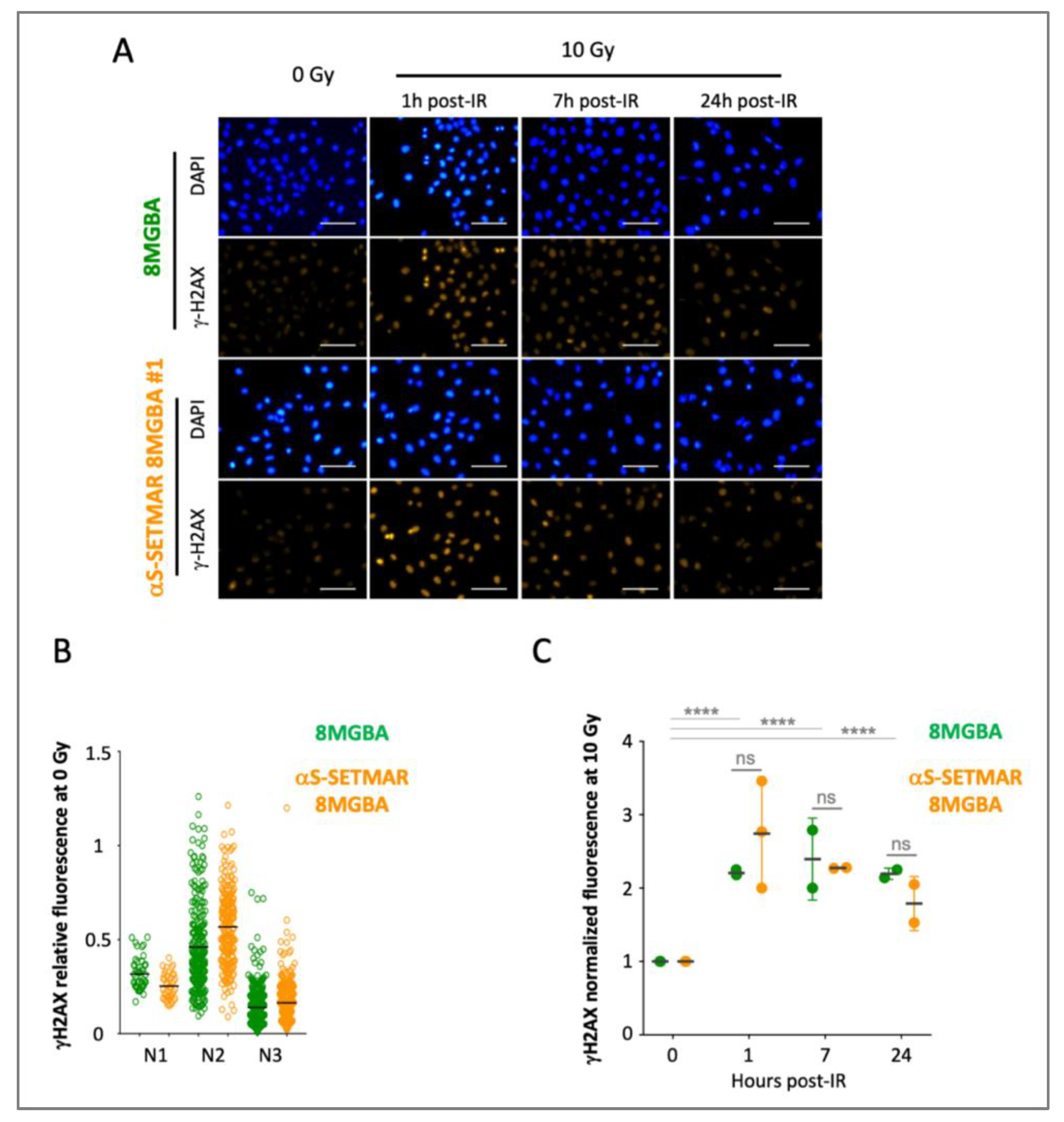 Preprints 215244 g001