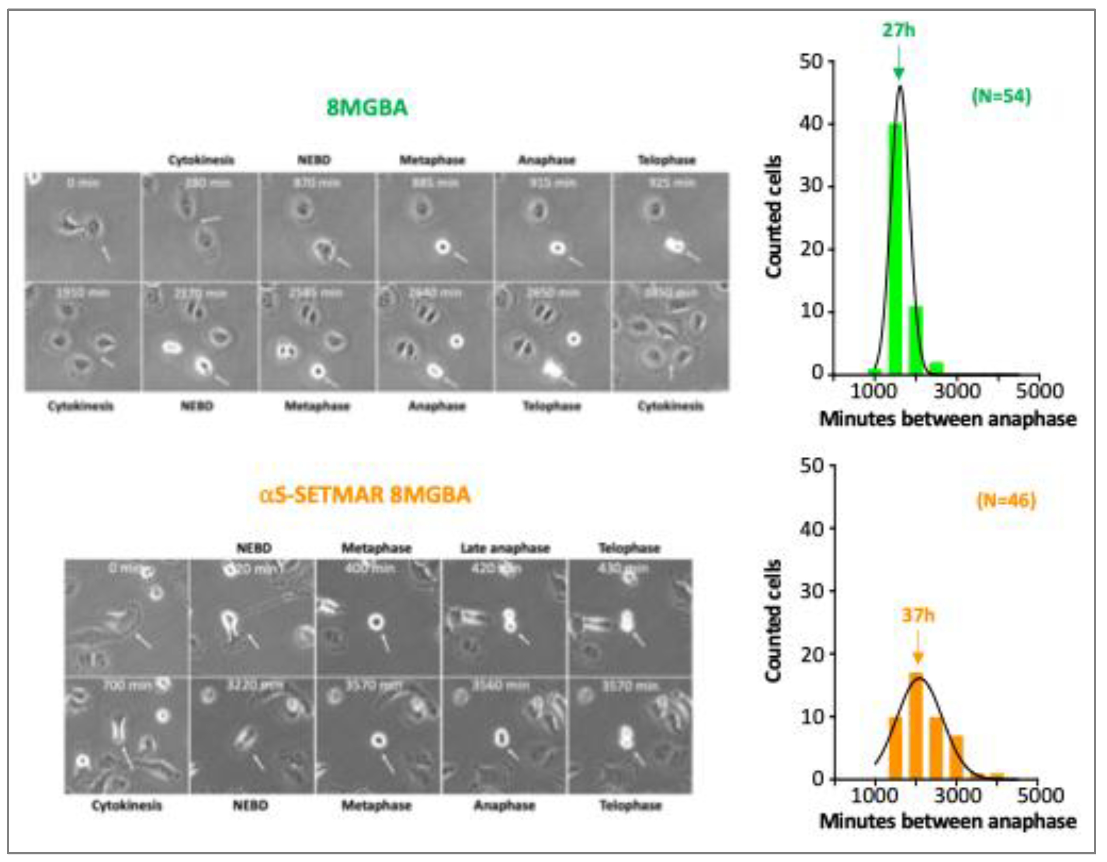 Preprints 215244 g003