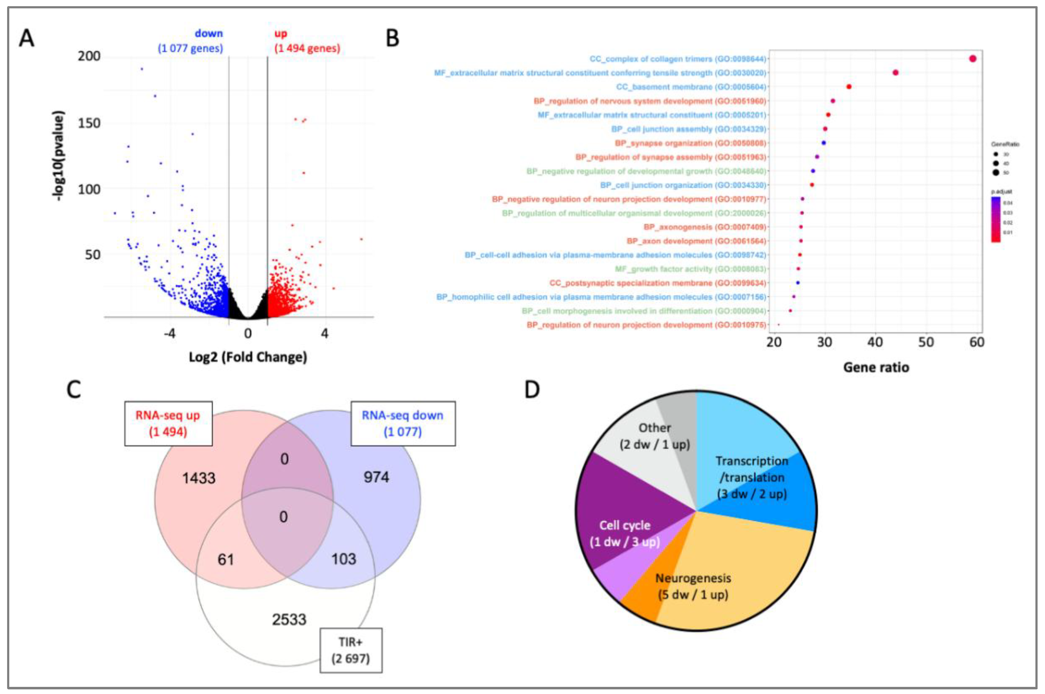 Preprints 215244 g007
