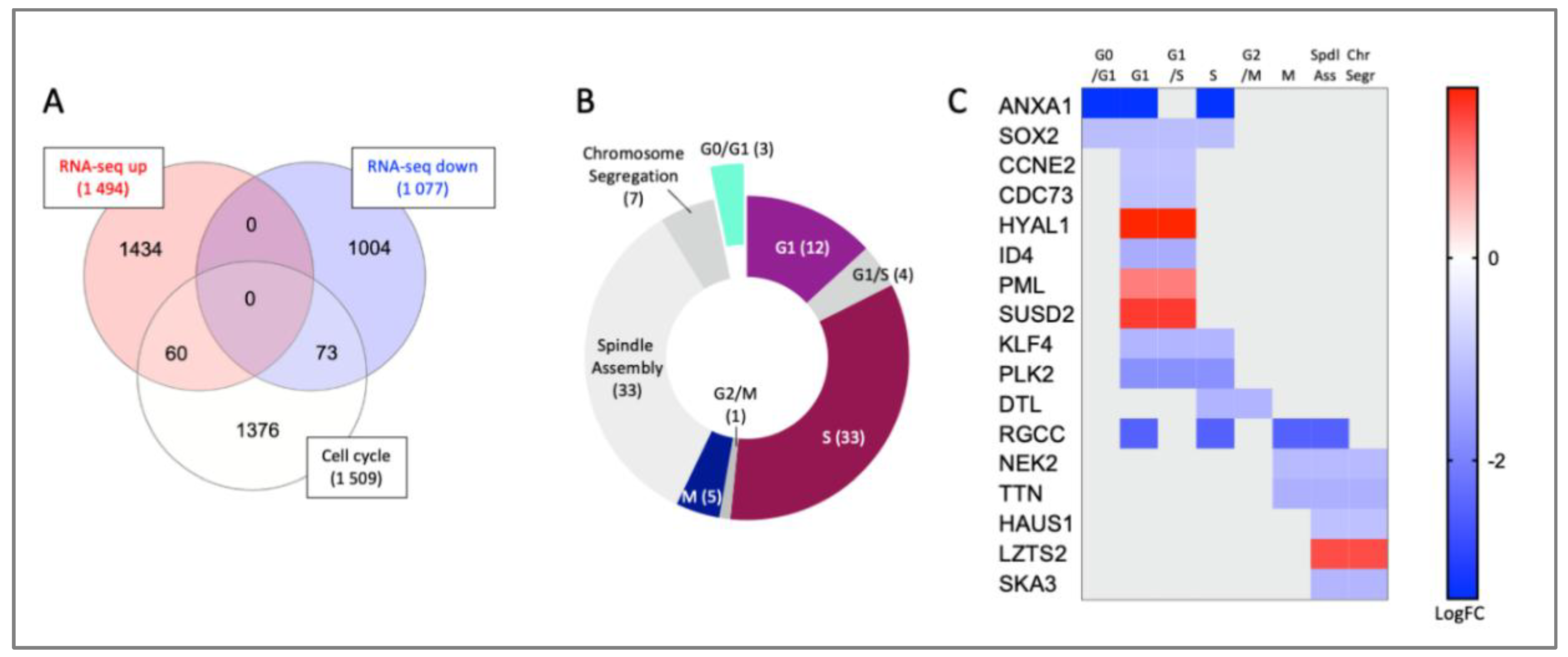 Preprints 215244 g008