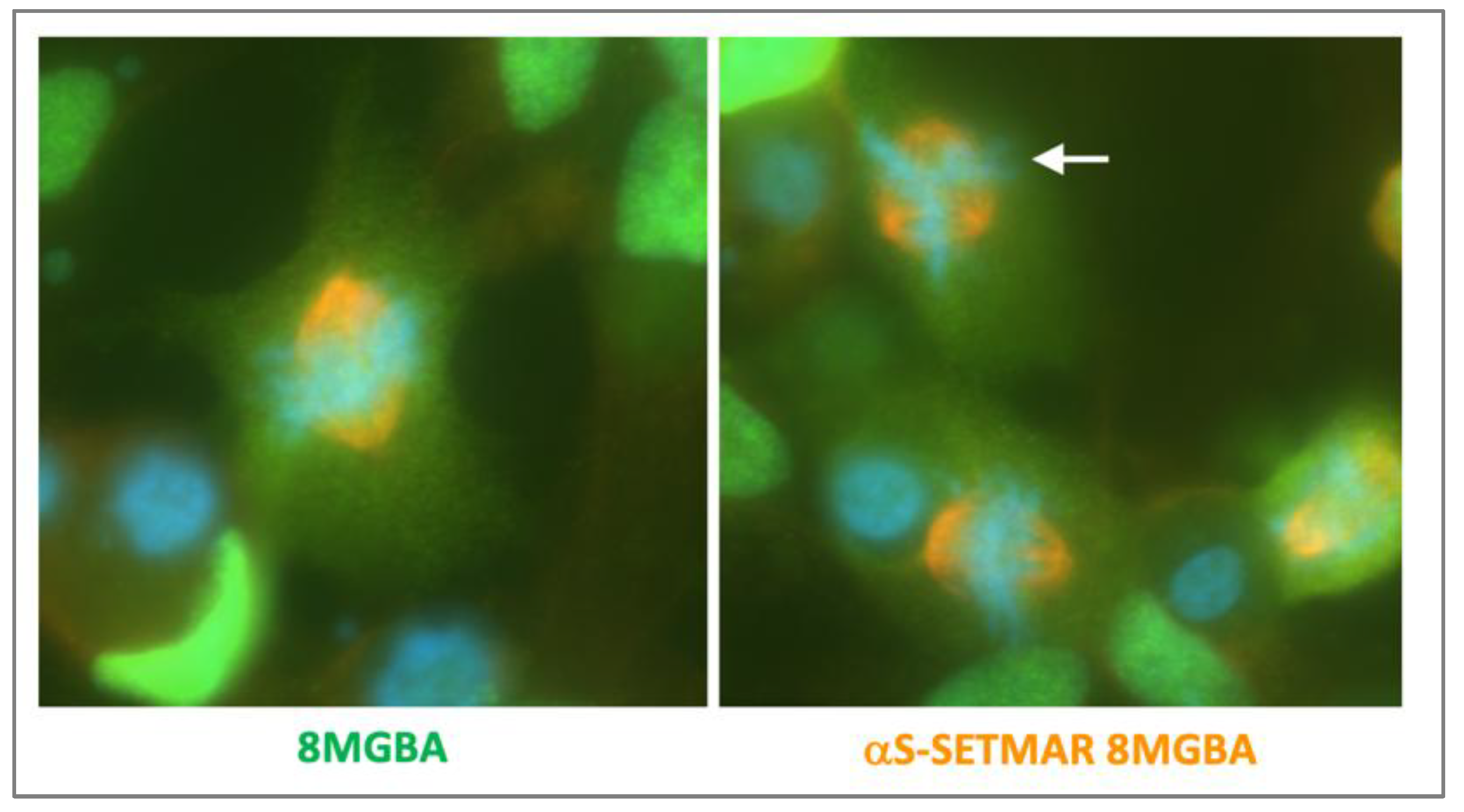 Preprints 215244 g009