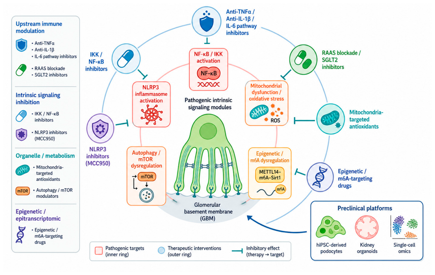 Preprints 235012 g005 Preprints 235012 g005